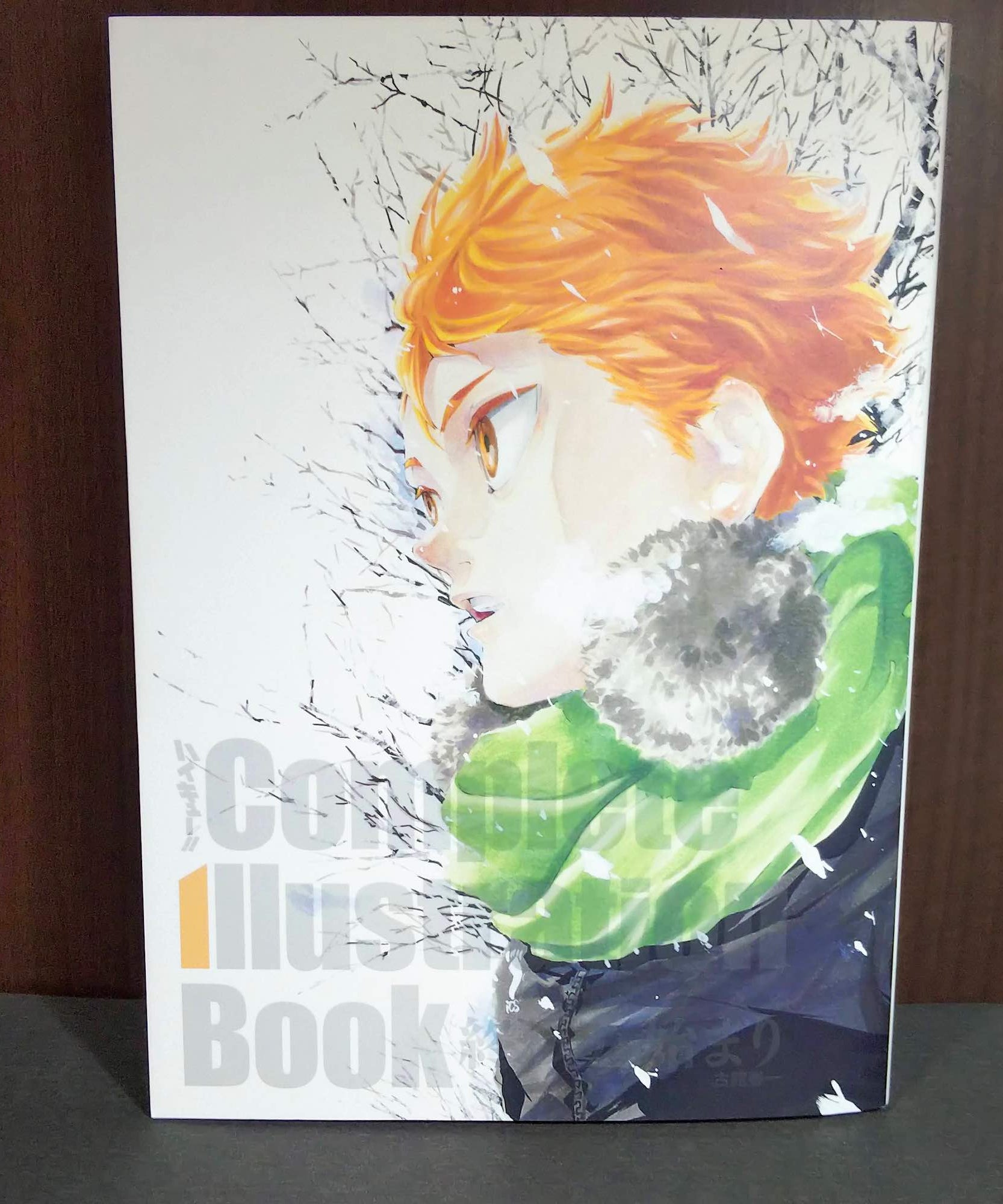 Haikyu Complete Illustration book