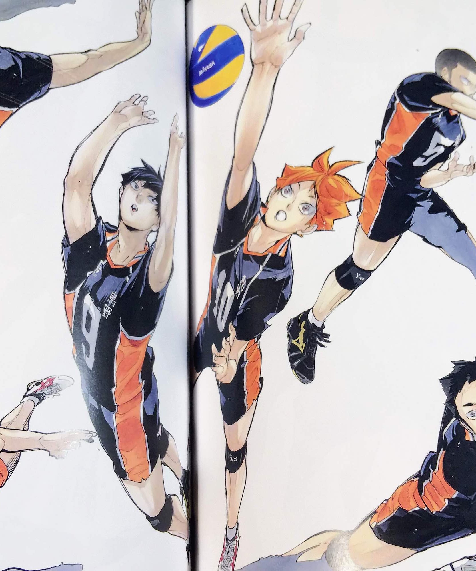 Haikyu Complete Illustration book