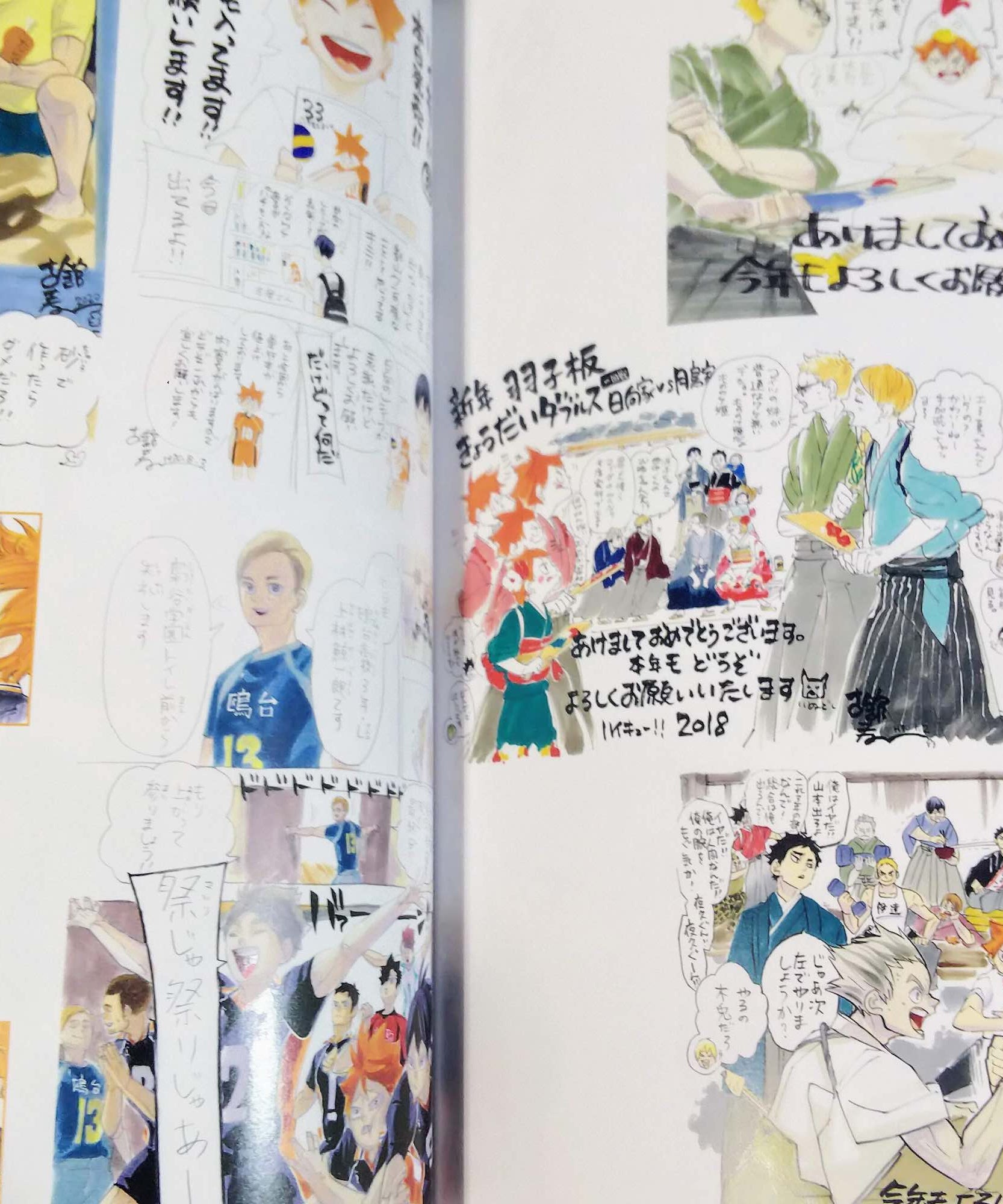 Haikyu Complete Illustration book
