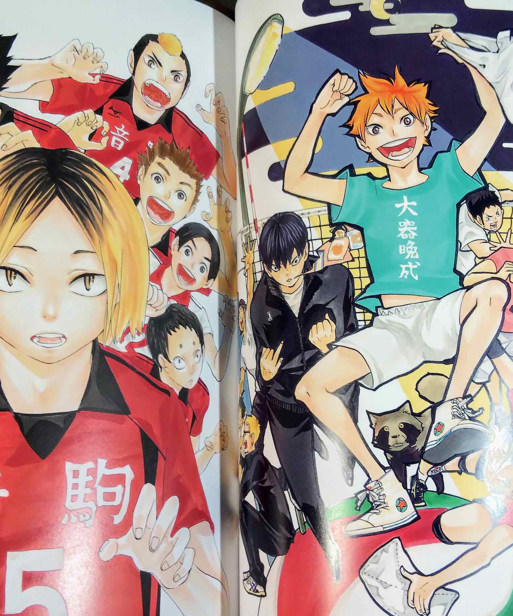 Haikyu Complete Illustration book