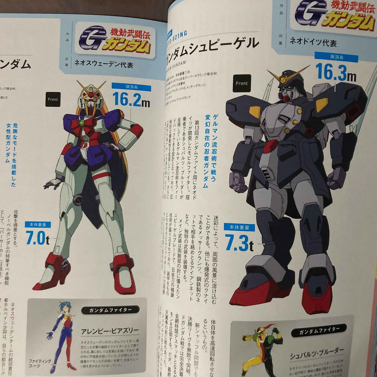 Mobile Suit Zenshu 20 Gundam in GWX