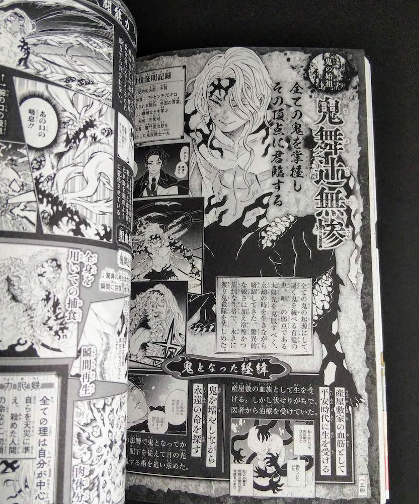 Demon Slayer  Kimetsu no Yaiba Official Fan Book 2
