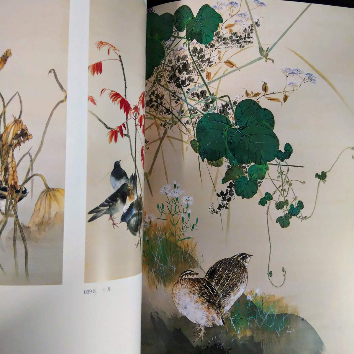 Watanabe Shotei Seitei - The Glory of Bird-and-Flower Painting