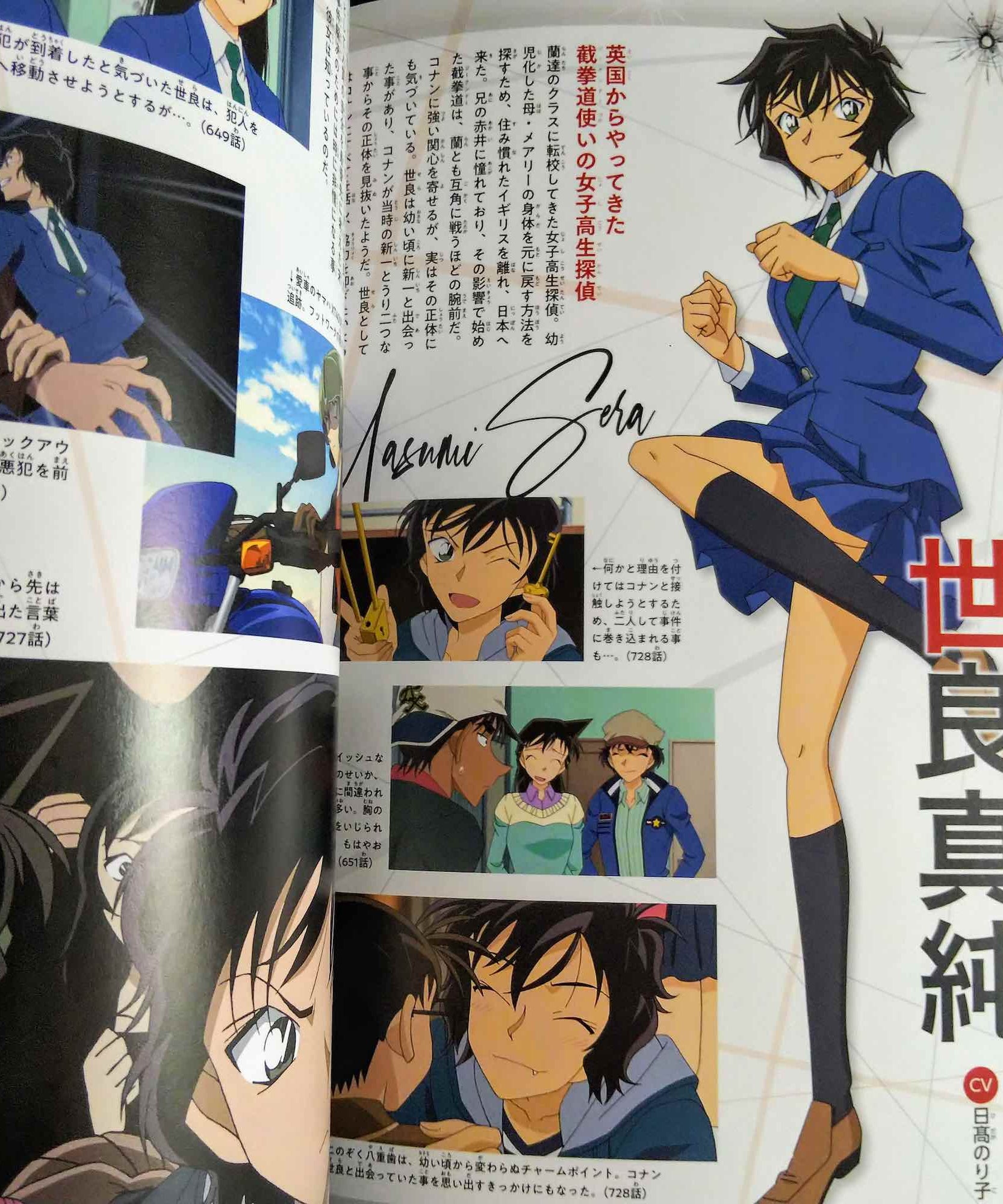 Detective Conan Secret Archives PLUS : Shuichi Akai