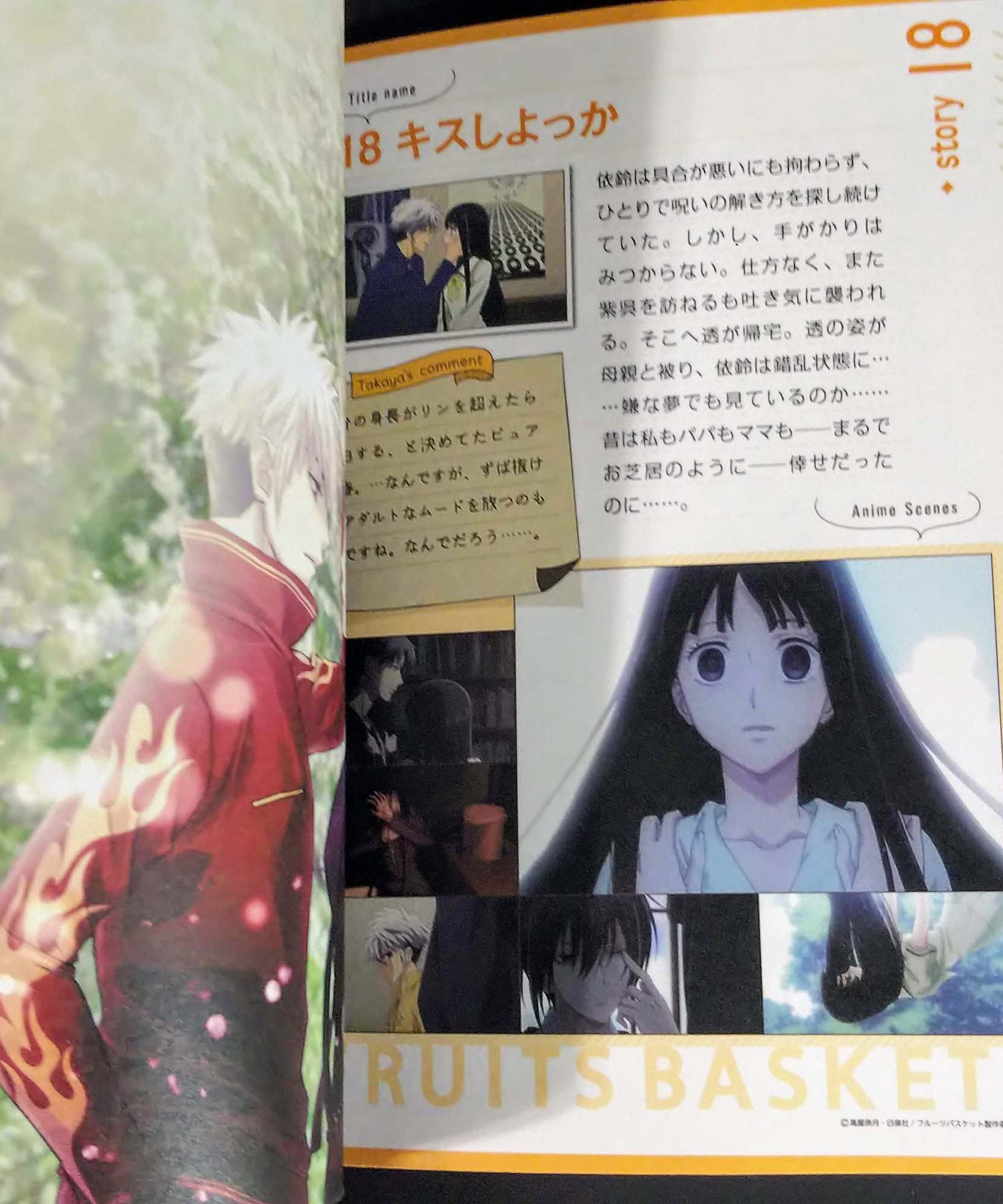 Fruits Basket Anime  2nd Season - Natsuki Takaya Illustrations