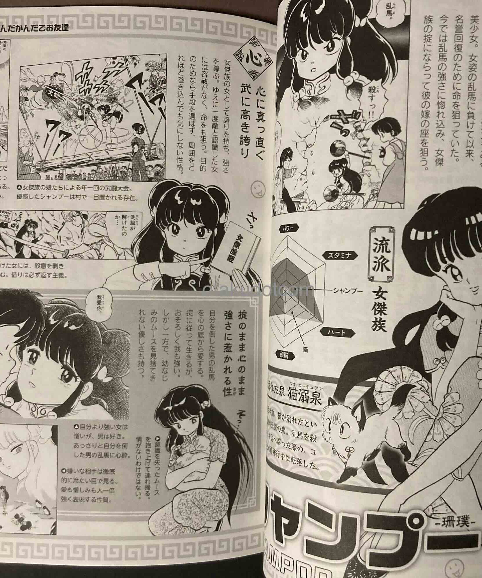 Ranma 1/2 Official Fanbook Daikanki