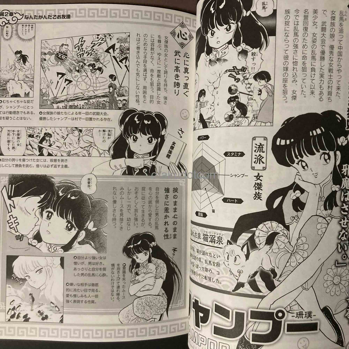 Ranma 1/2 Official Fanbook Daikanki