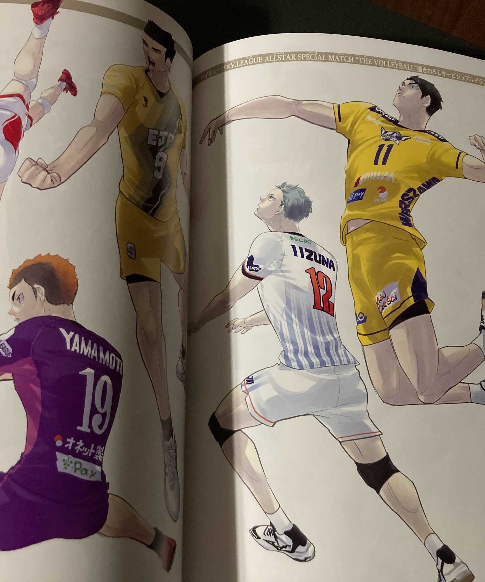 Haikyu 10th Chronicle