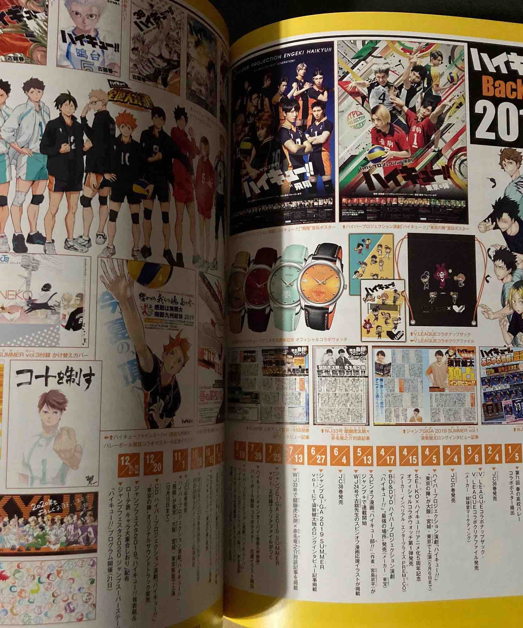 Haikyu 10th Chronicle