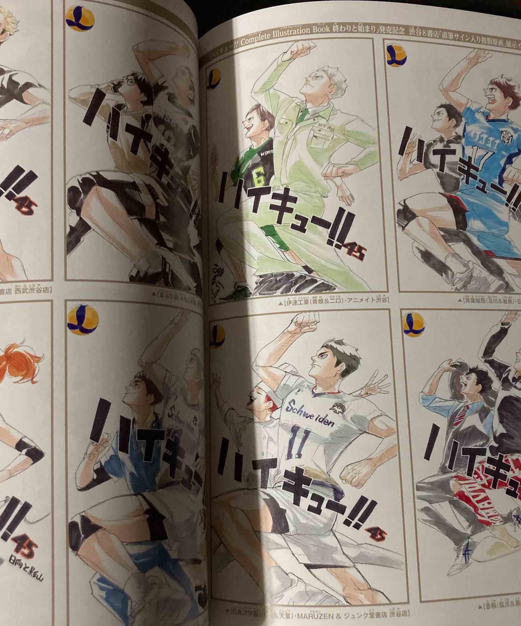 Haikyu 10th Chronicle