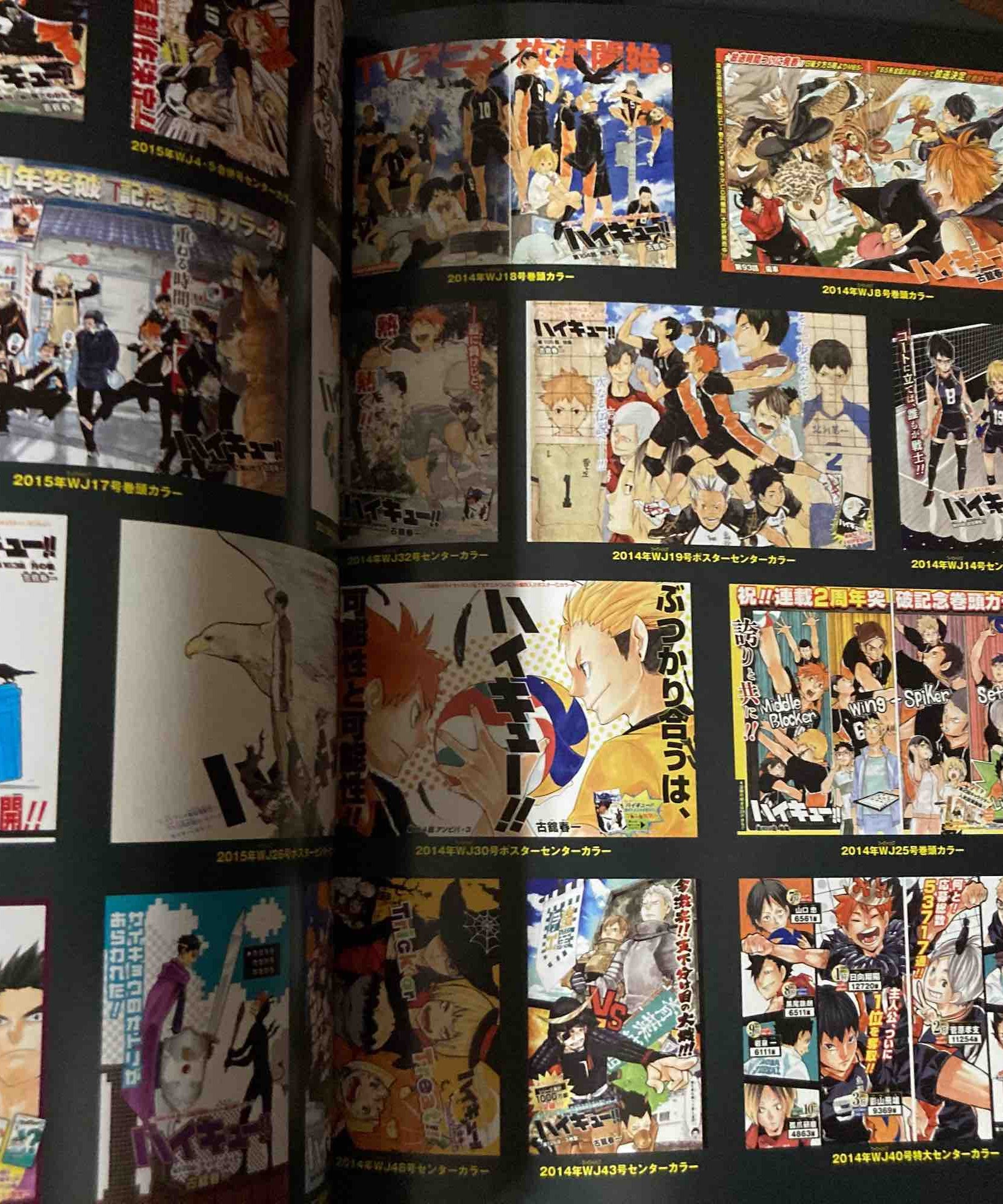 Haikyu 10th Chronicle