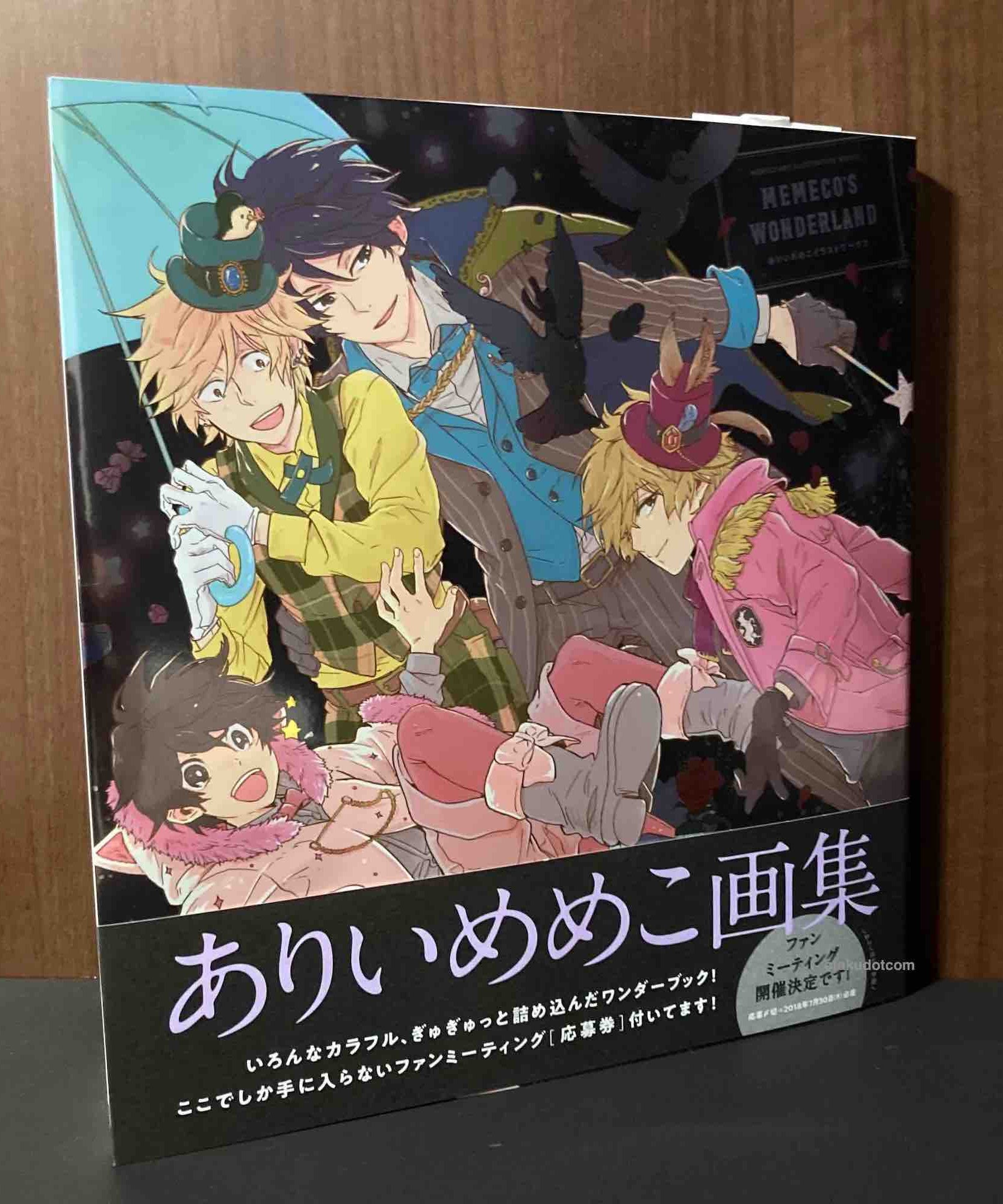 MEMECO'S WONDERLAND Arii Memeko Illustration Works