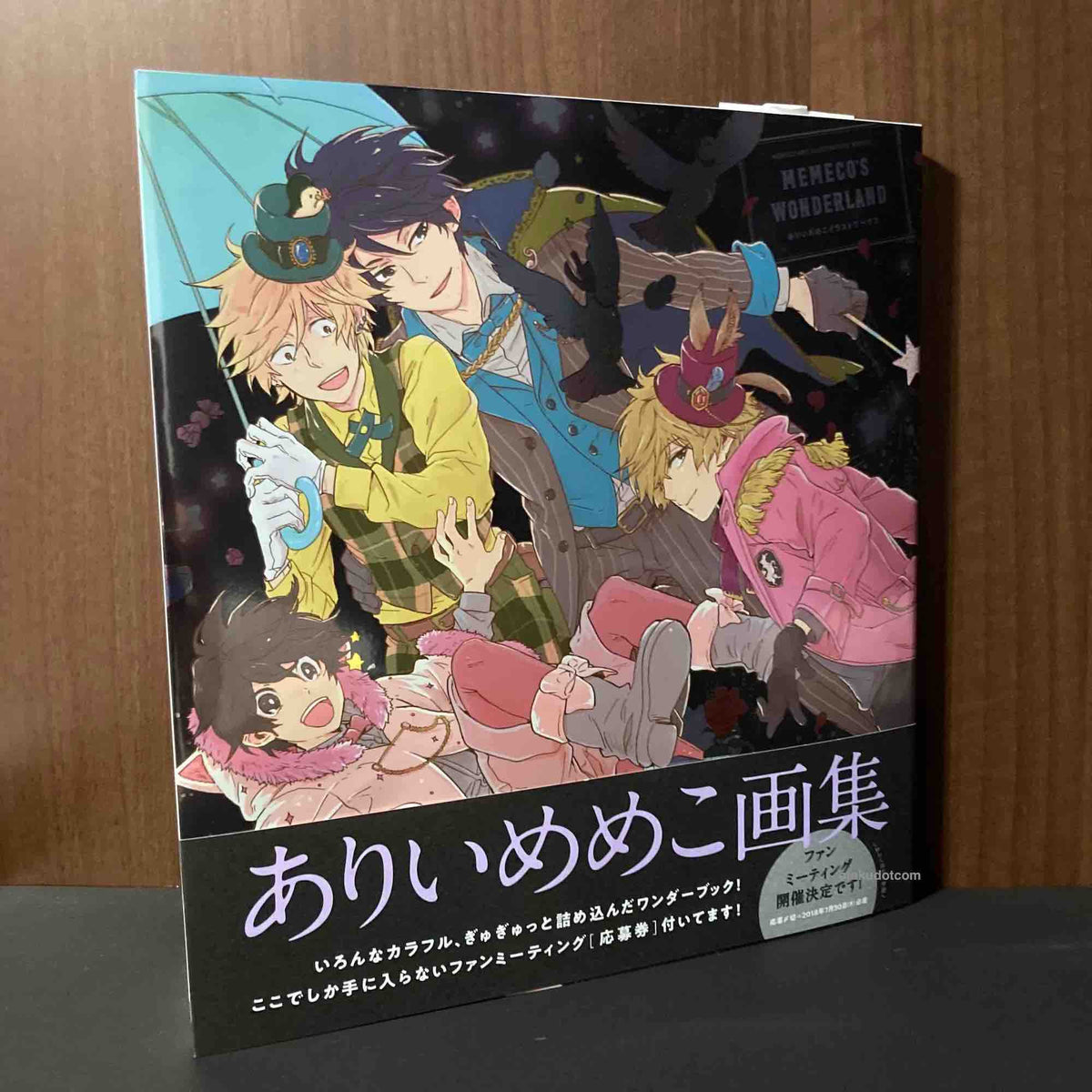 MEMECO'S WONDERLAND Arii Memeko Illustration Works