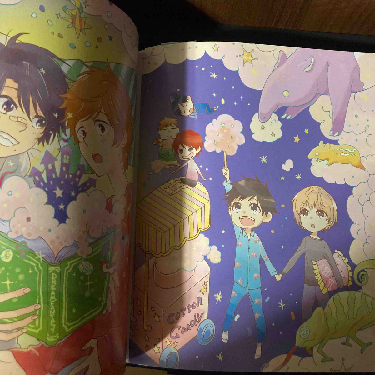 MEMECO'S WONDERLAND Arii Memeko Illustration Works