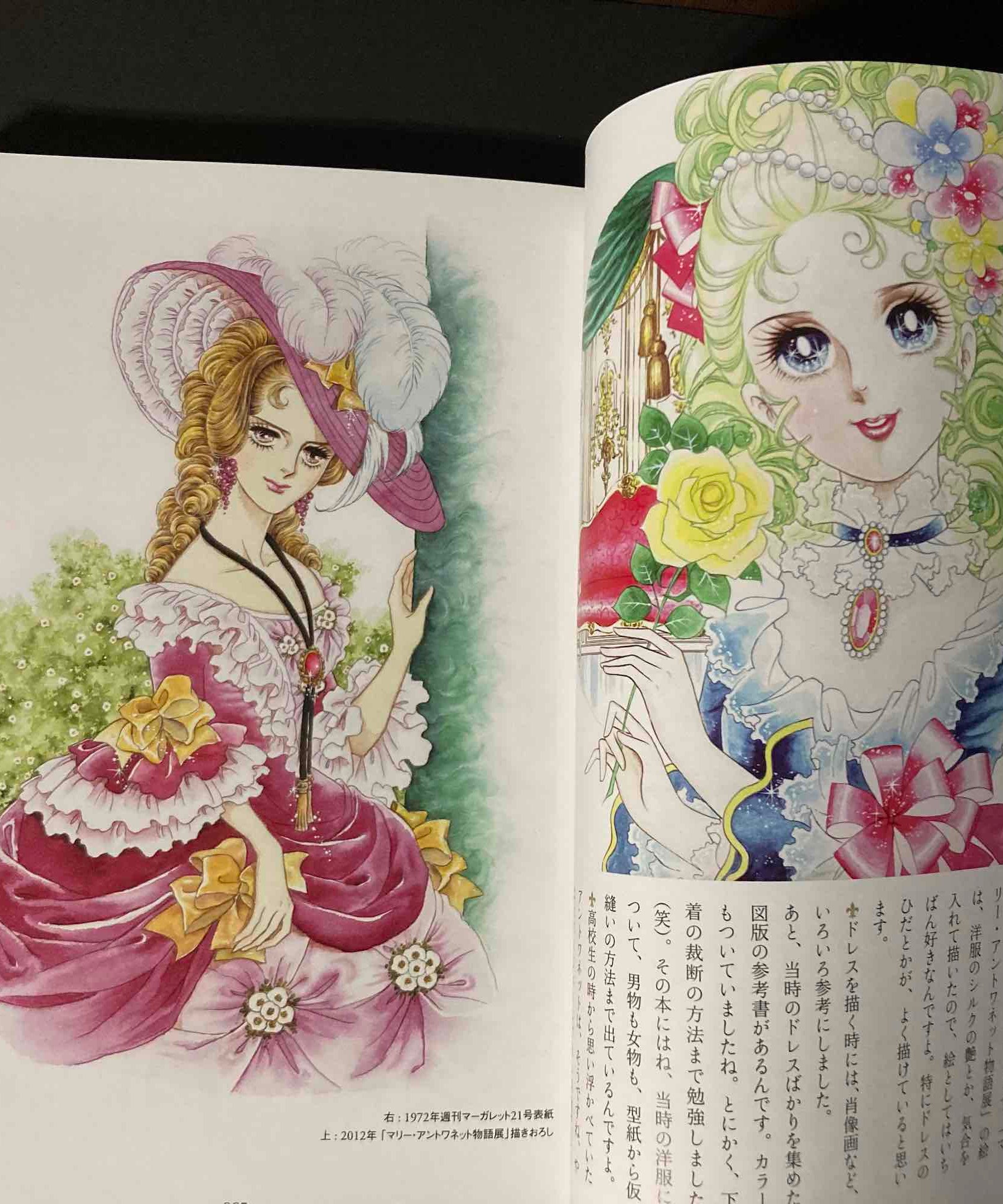 Rose of Versailles - 50th Anniversary Book