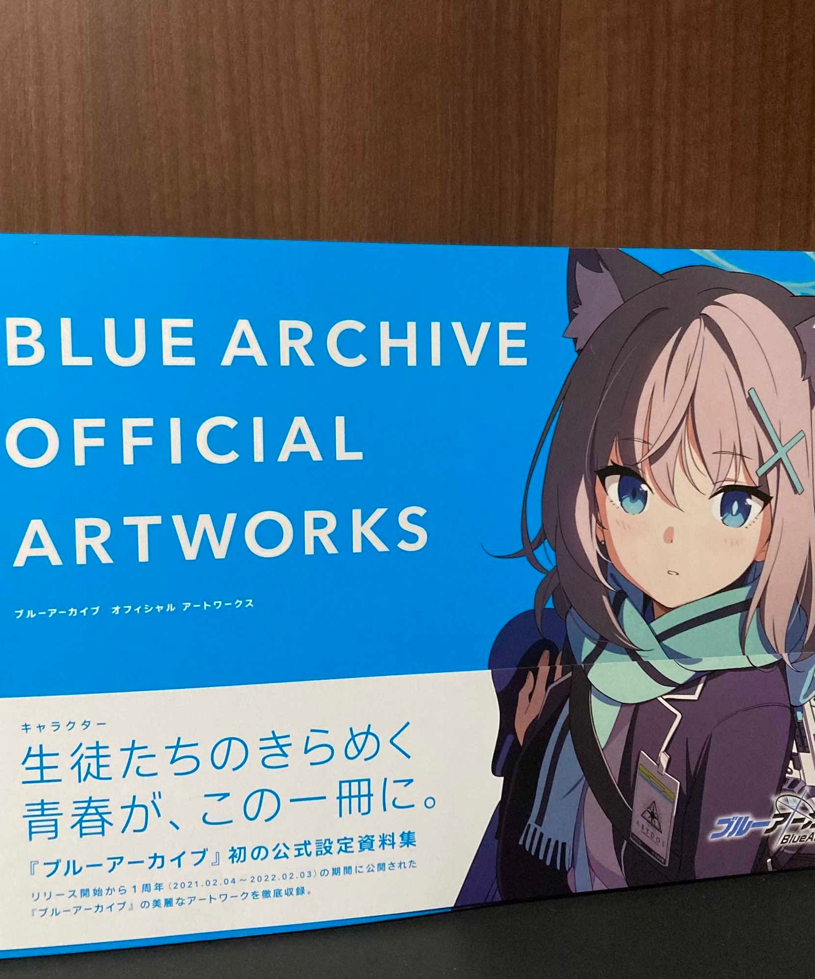 Blue Archive Official Artworks