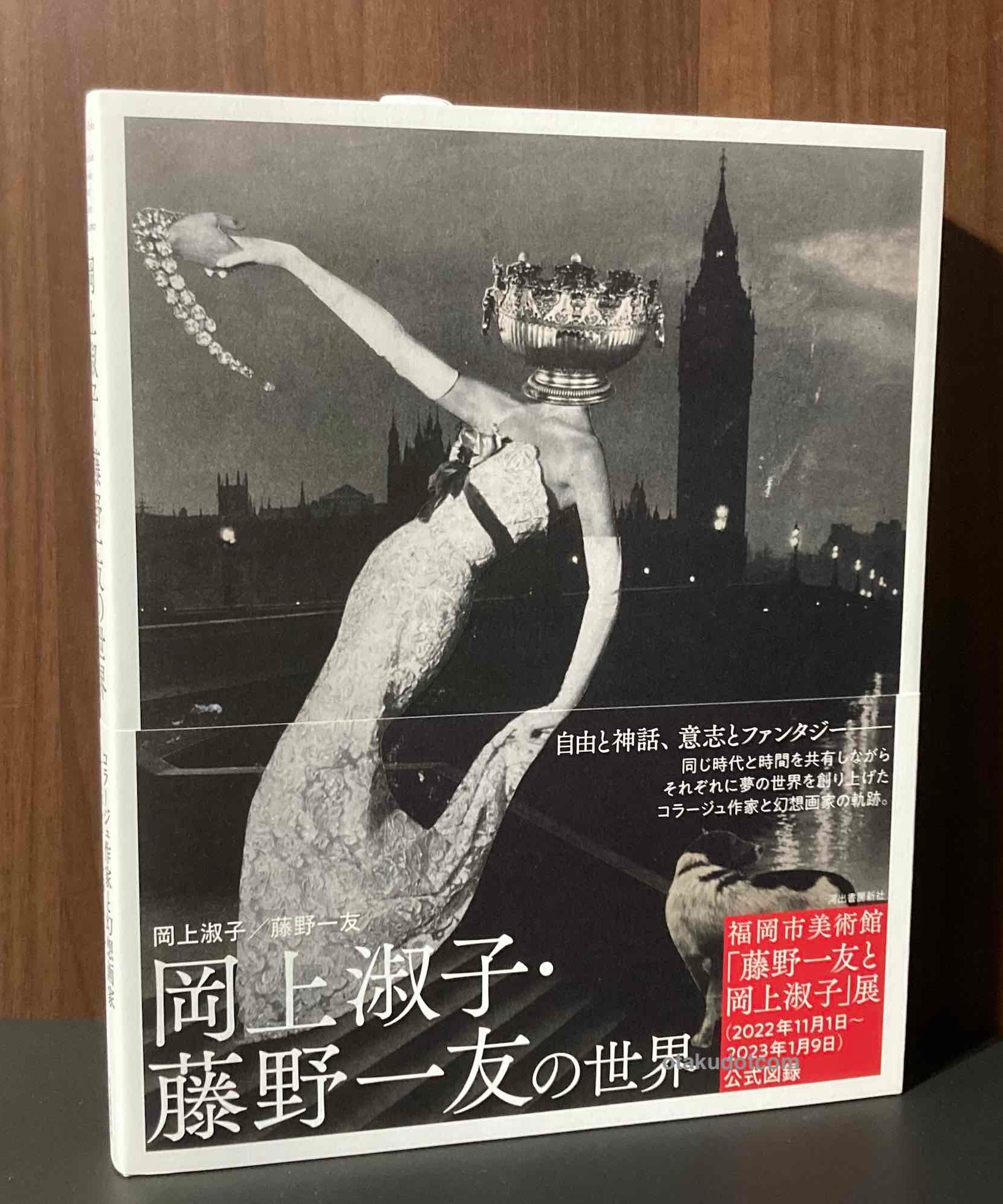 The Works of Okanoue Toshiko and Fujino Kazutomo