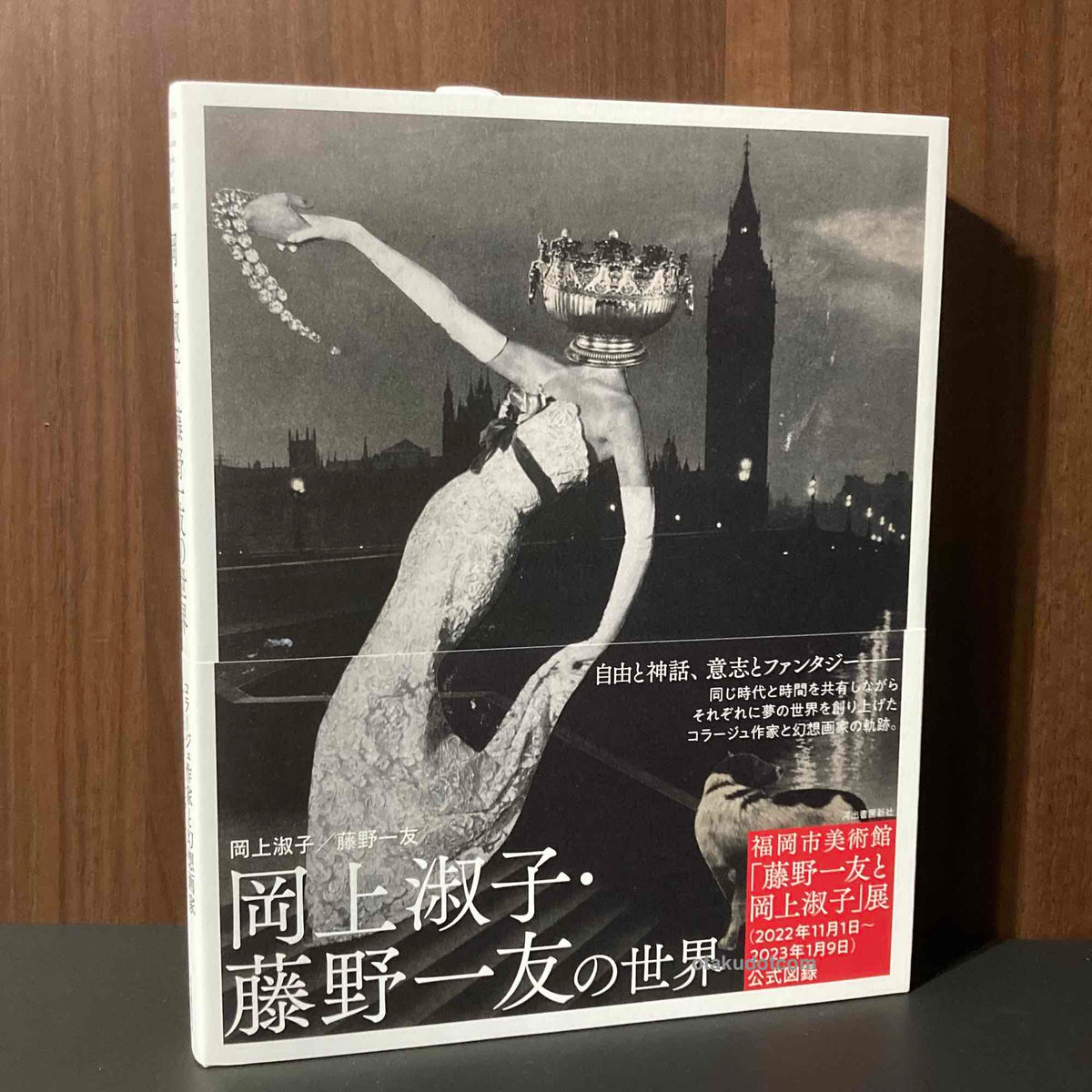 The Works of Okanoue Toshiko and Fujino Kazutomo