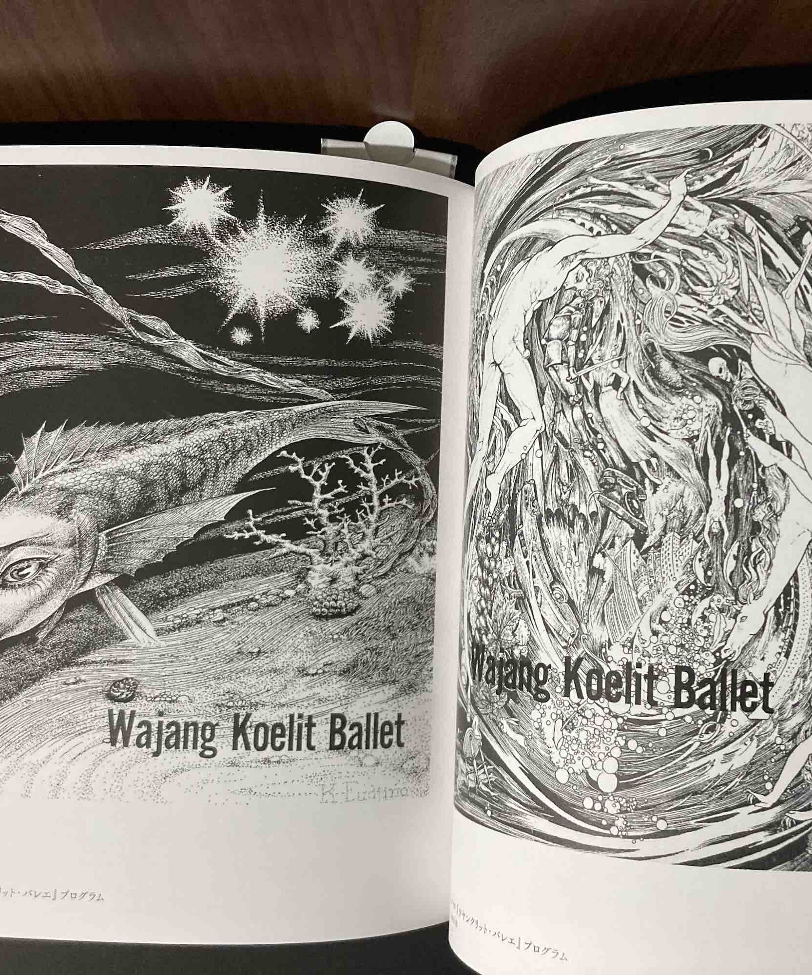 The Works of Okanoue Toshiko and Fujino Kazutomo