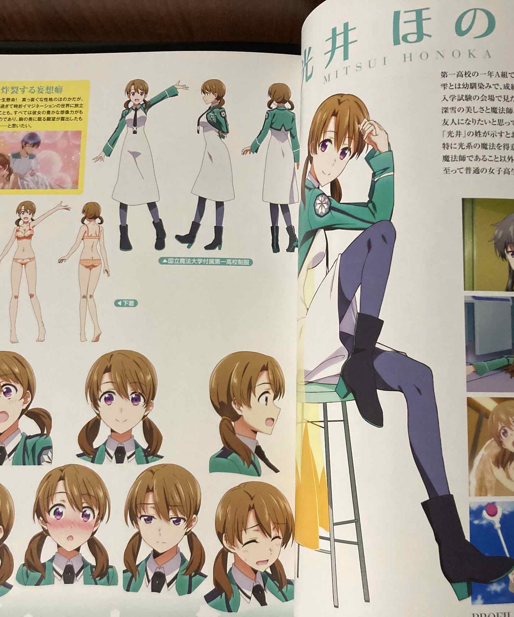 The Honour at Magic High School Official Visual Book