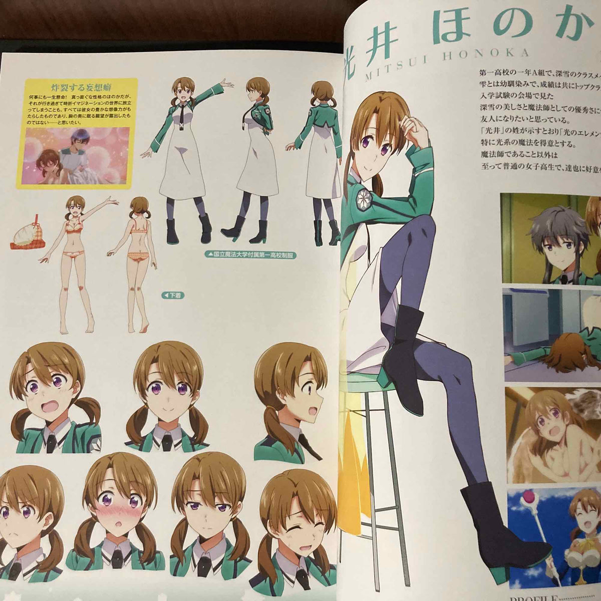 The Honour at Magic High School Official Visual Book