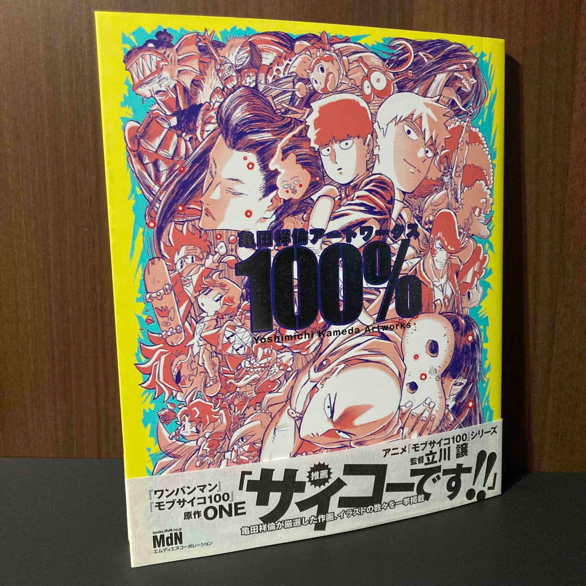 Yoshimichi Kameda Artworks 100%