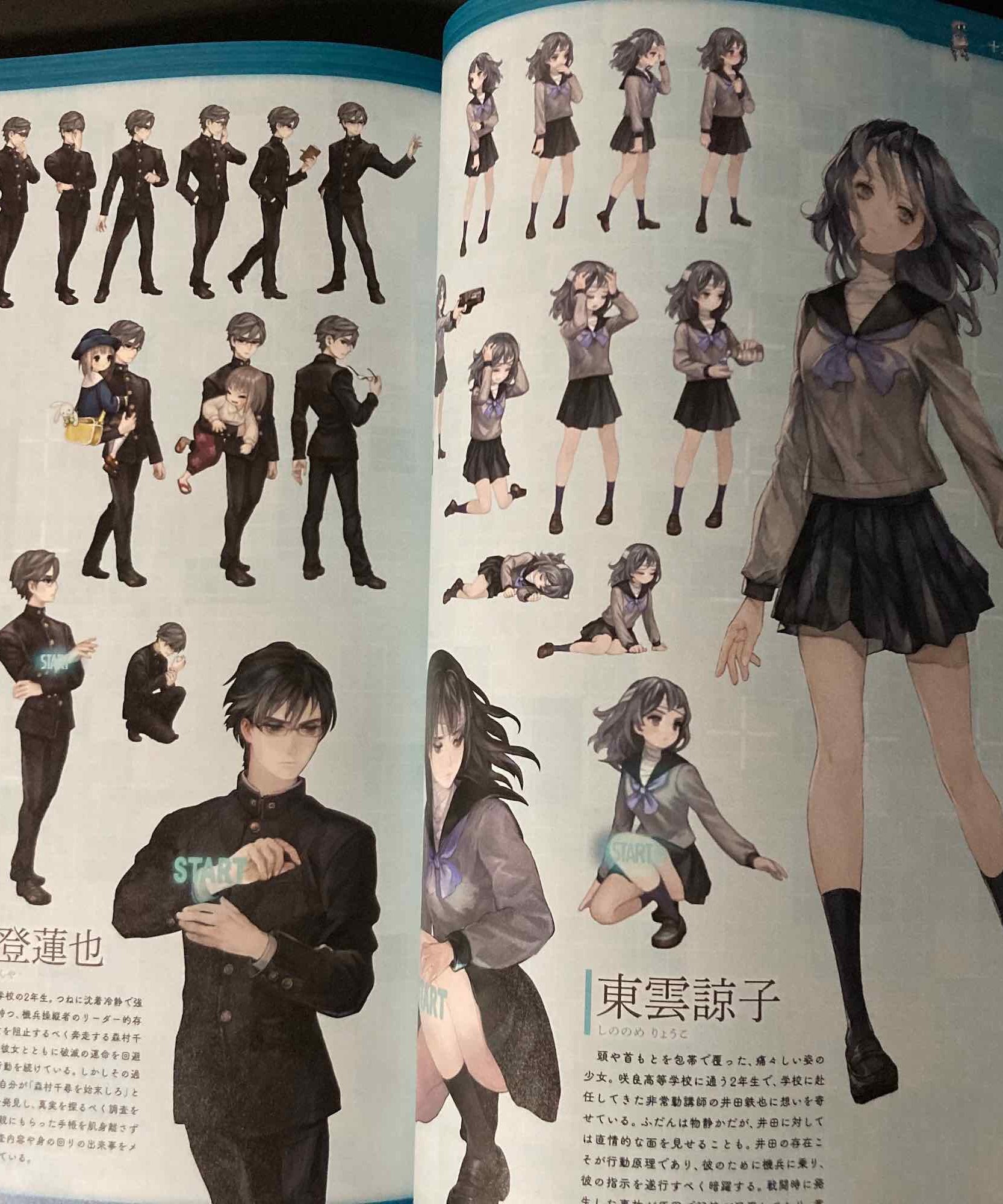 Vanillaware Official Art Book Vanilla Mania
