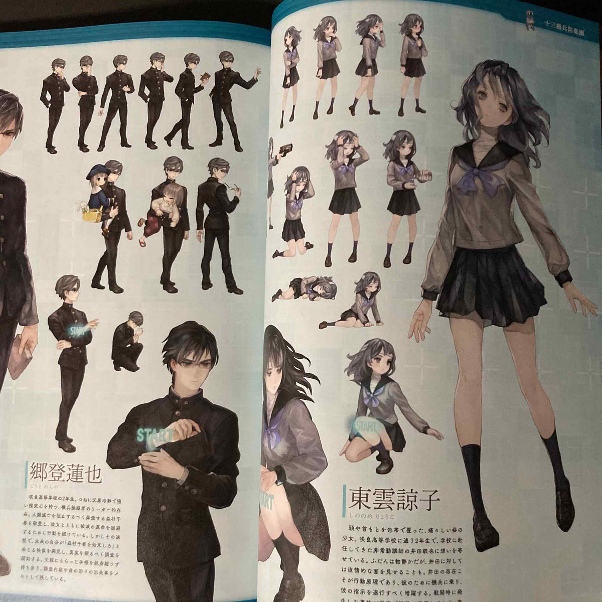 Vanillaware Official Art Book Vanilla Mania