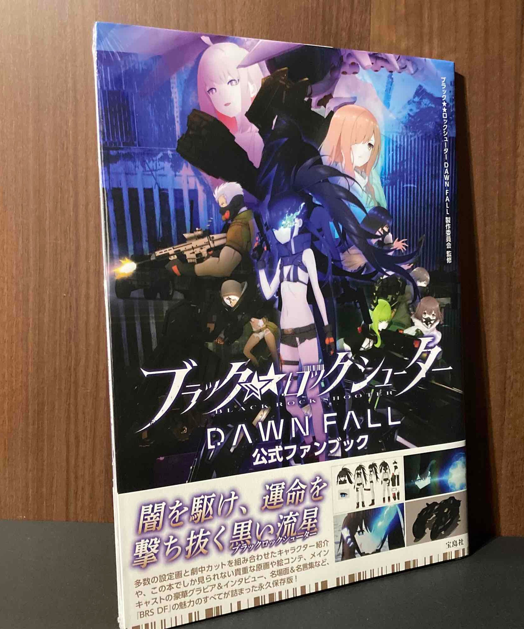 Black Rock Shooter Dawn Fall - Official Fan Book