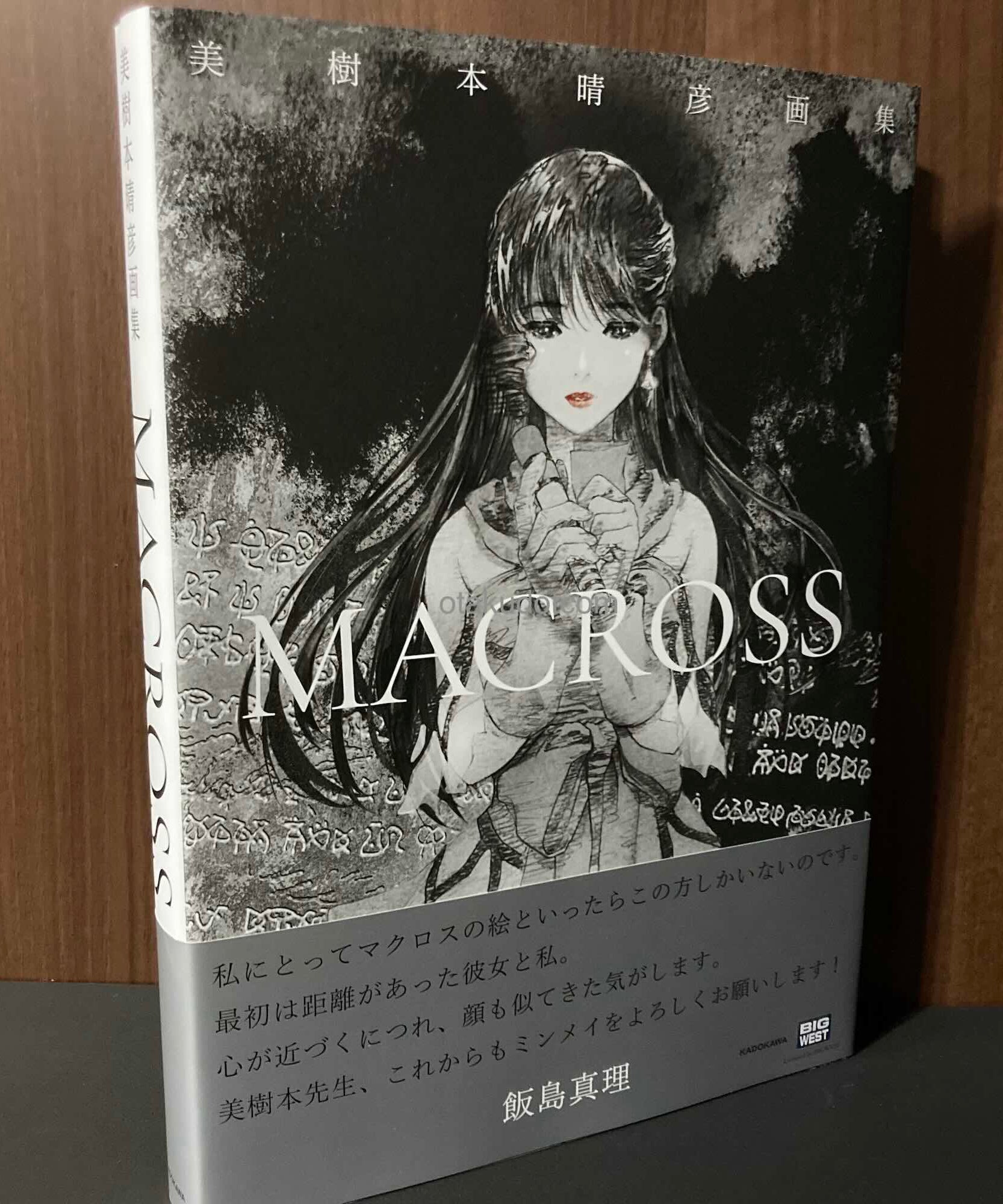 Macross Haruhiko Mikimoto Artworks