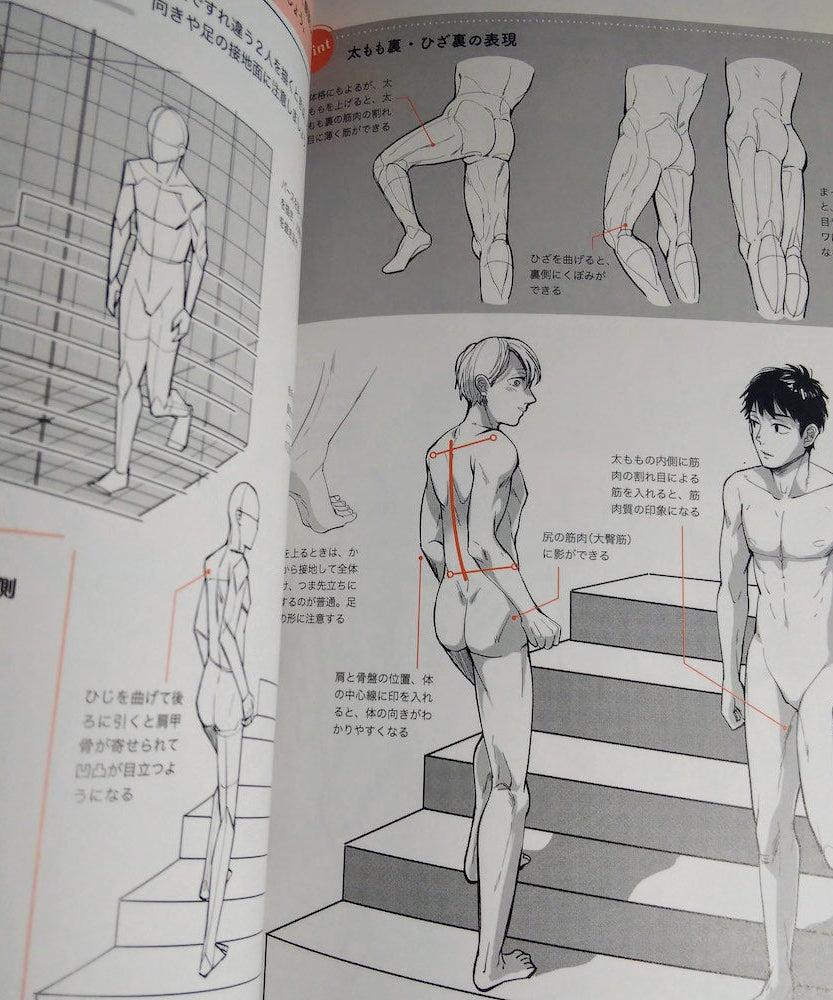 How To Draw BL Dessin Basic and Technique - Muscle