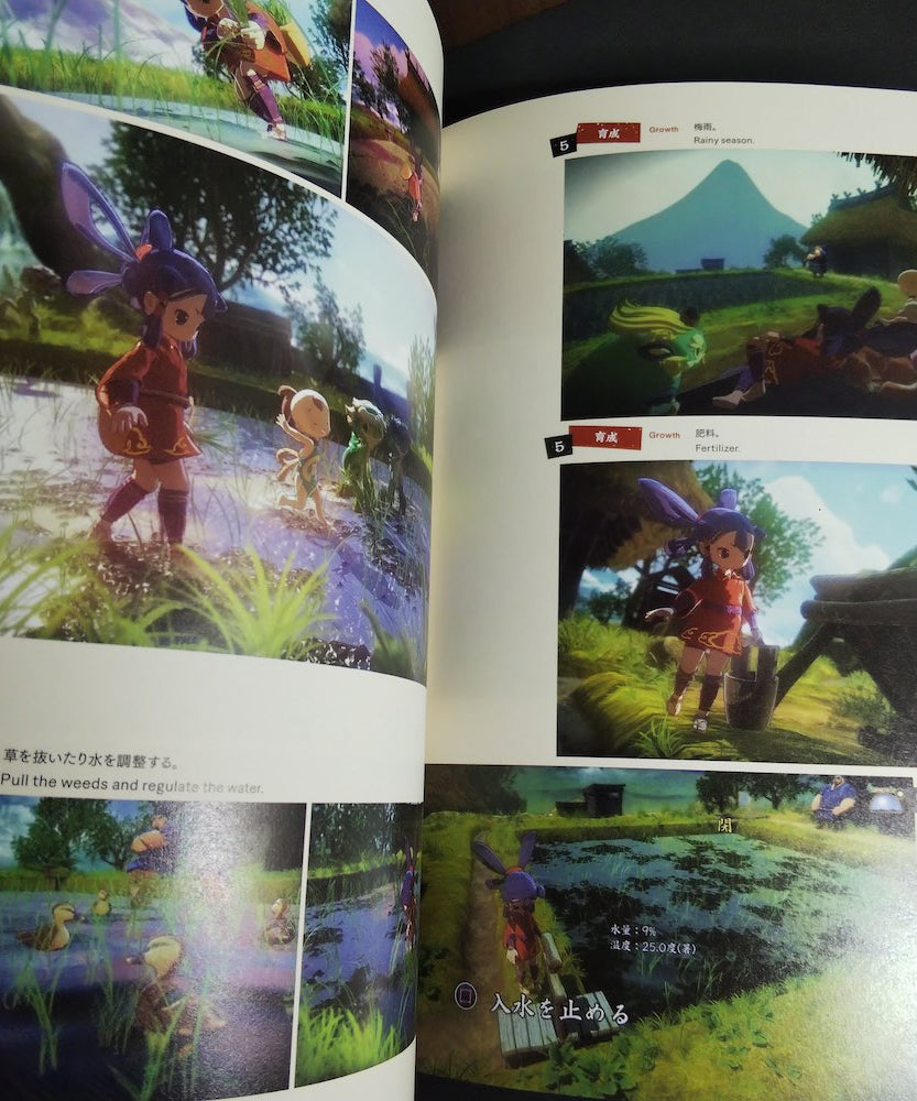 Sakuna Of Rice and Ruin Art Works