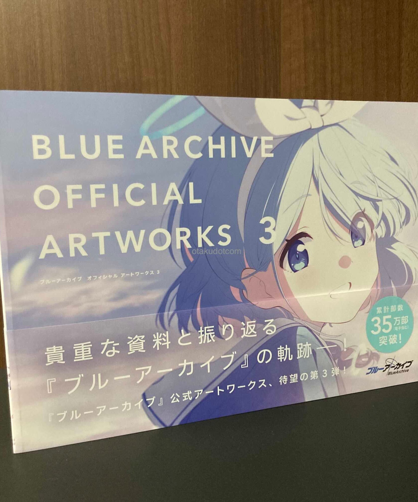 Blue Archive Official Artworks 3