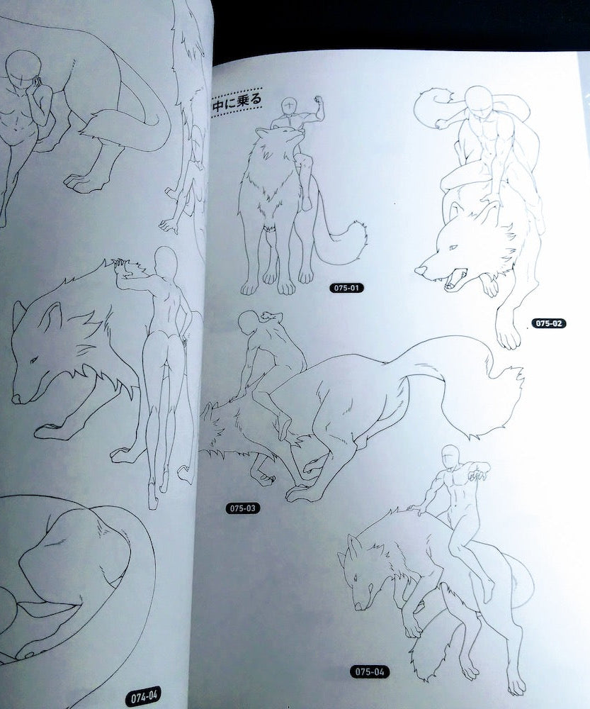 How to draw Animals and  Poses