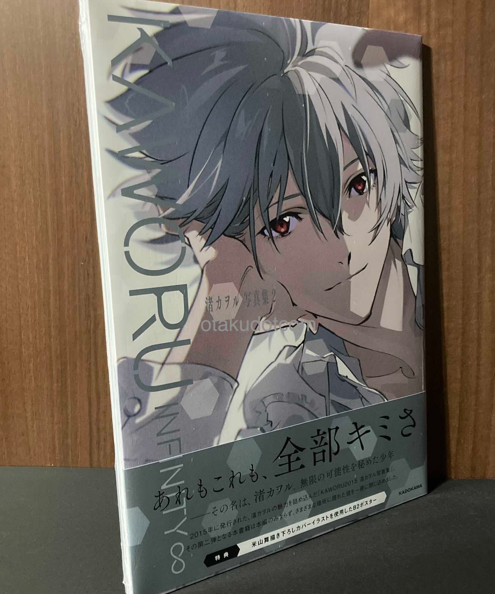 KAWORU INFINITY