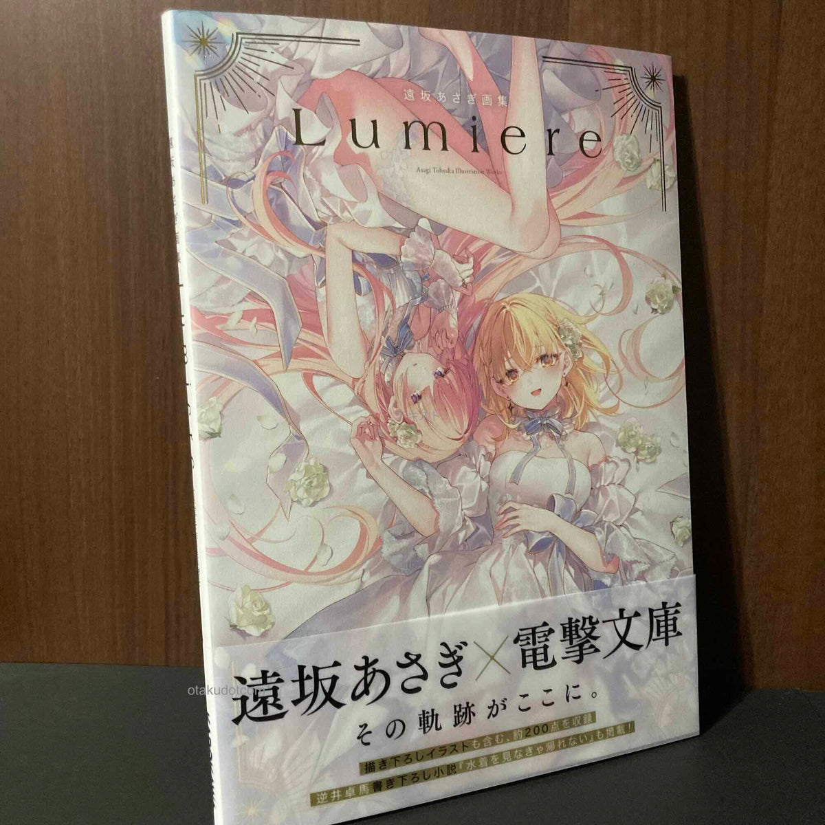 Asagi Tosaka Art Book Lumiere
