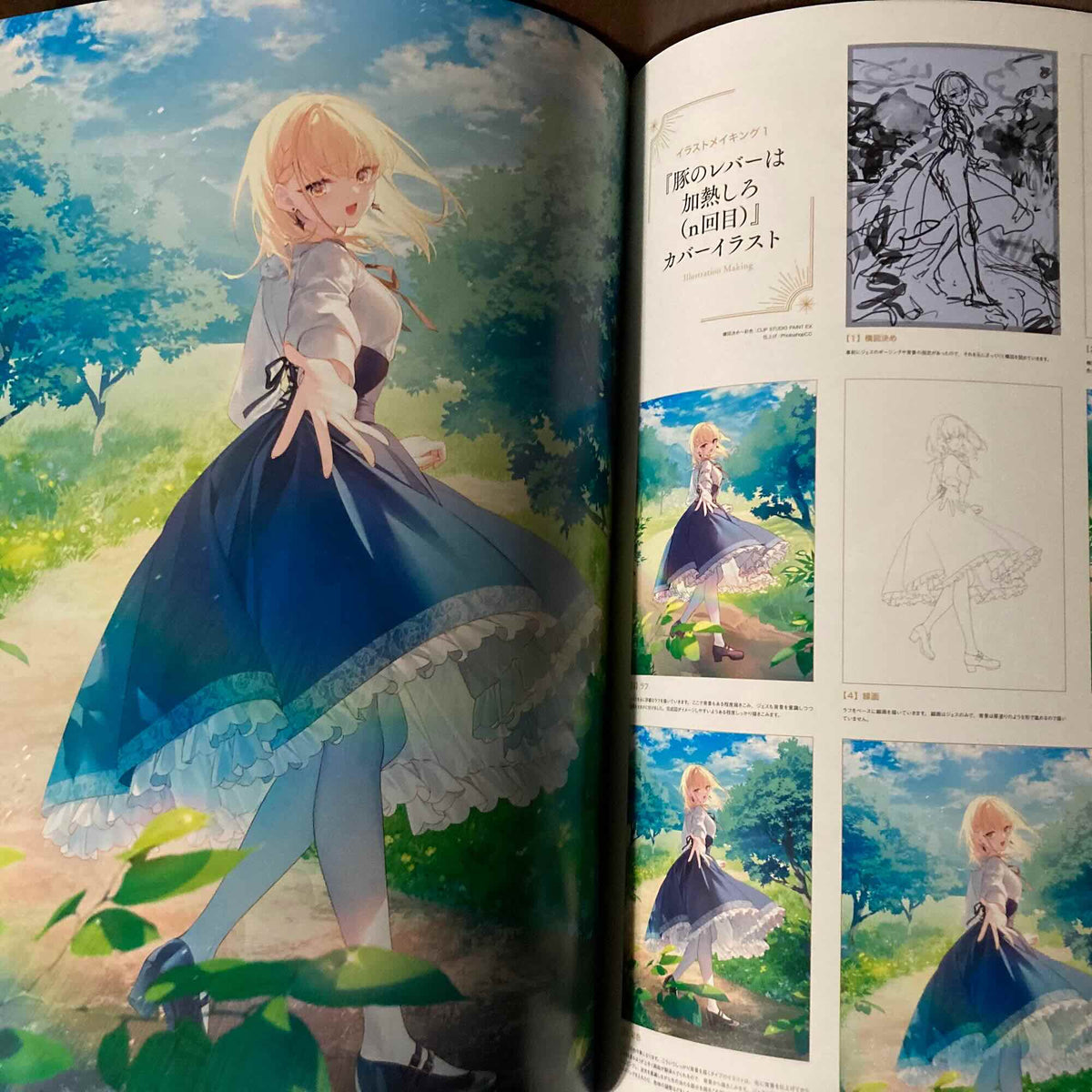 Asagi Tosaka Art Book Lumiere