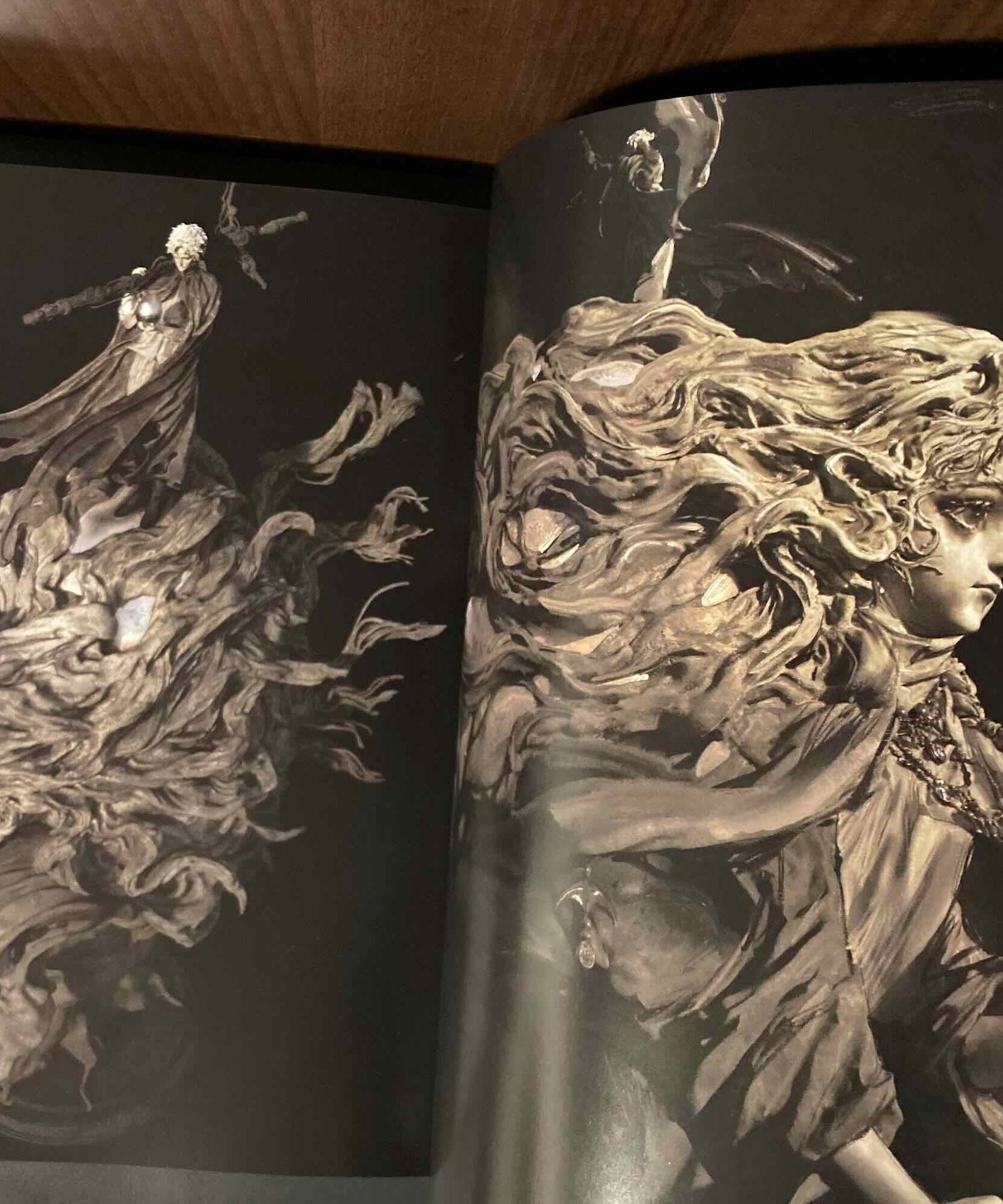 Entei Ryu Art Works CHIMERA