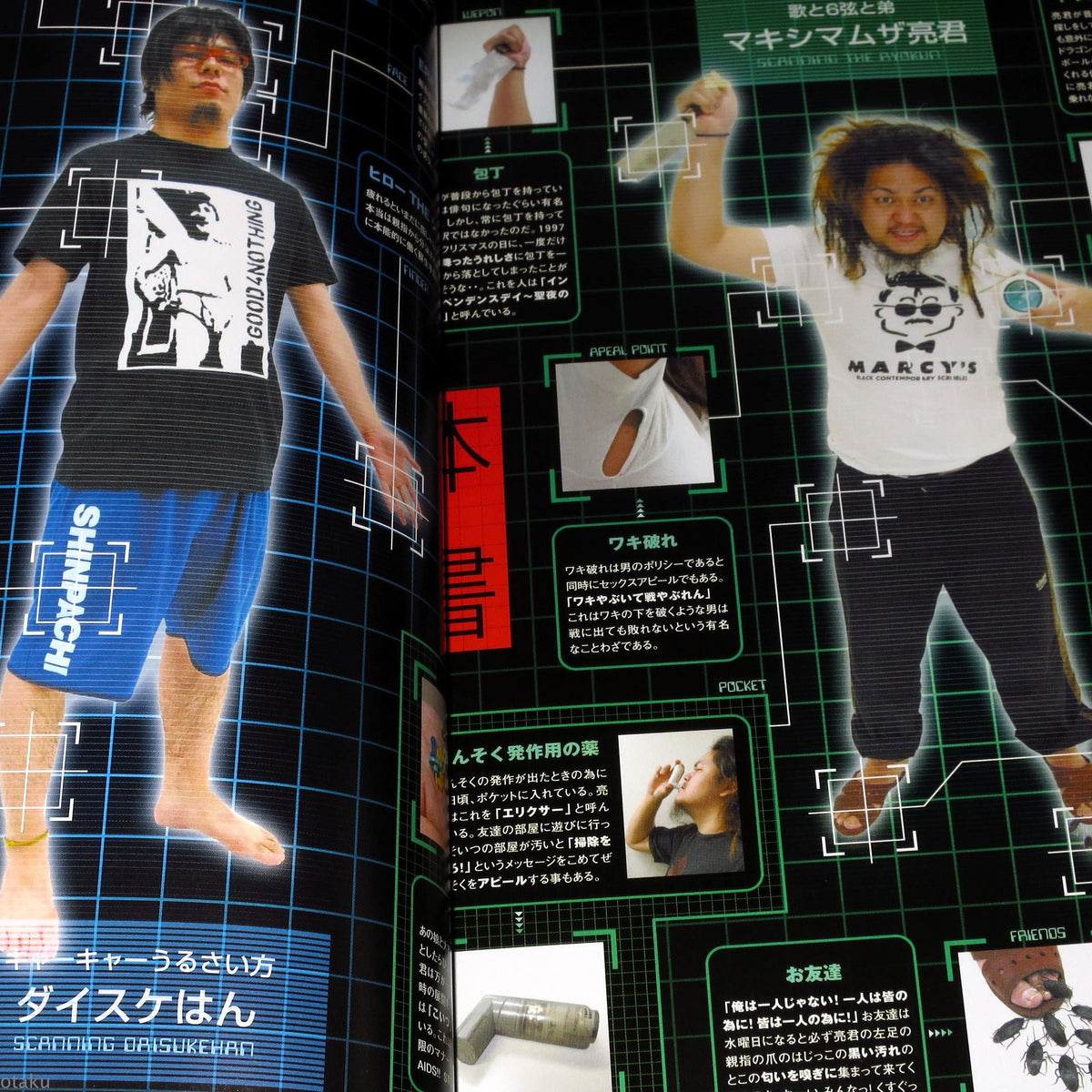Maximum The Hormone The Best 2 - Band Score