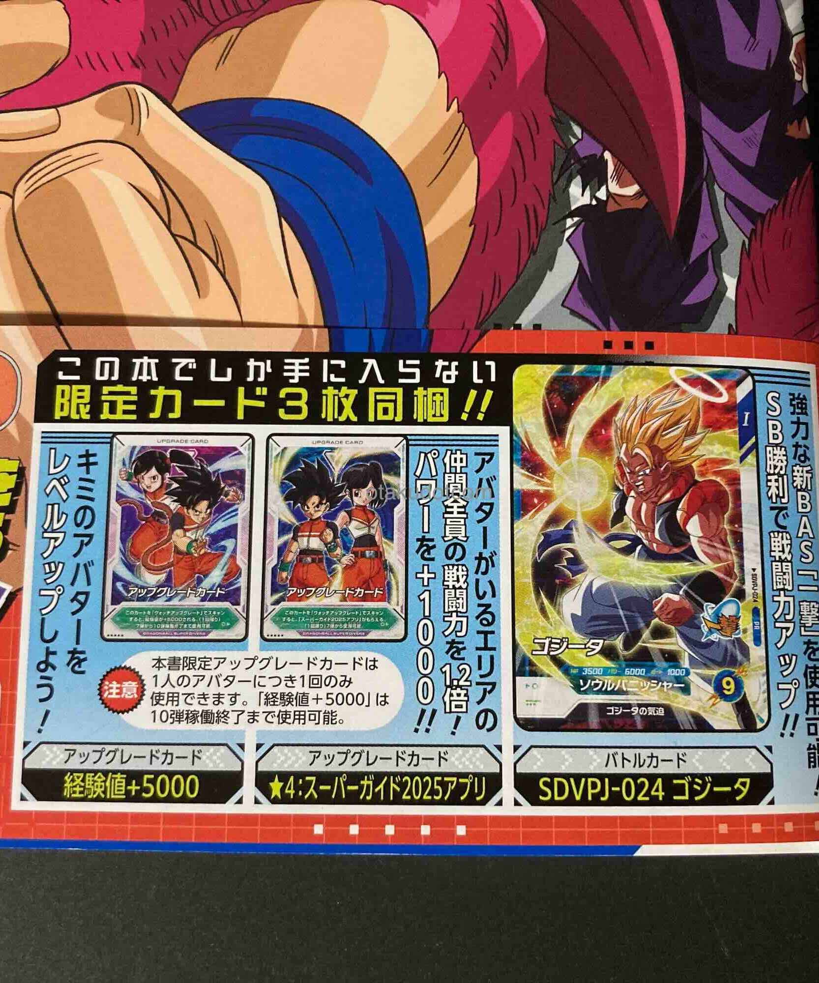 Dragon Ball Super Divers 1st Anniversary Super Guide