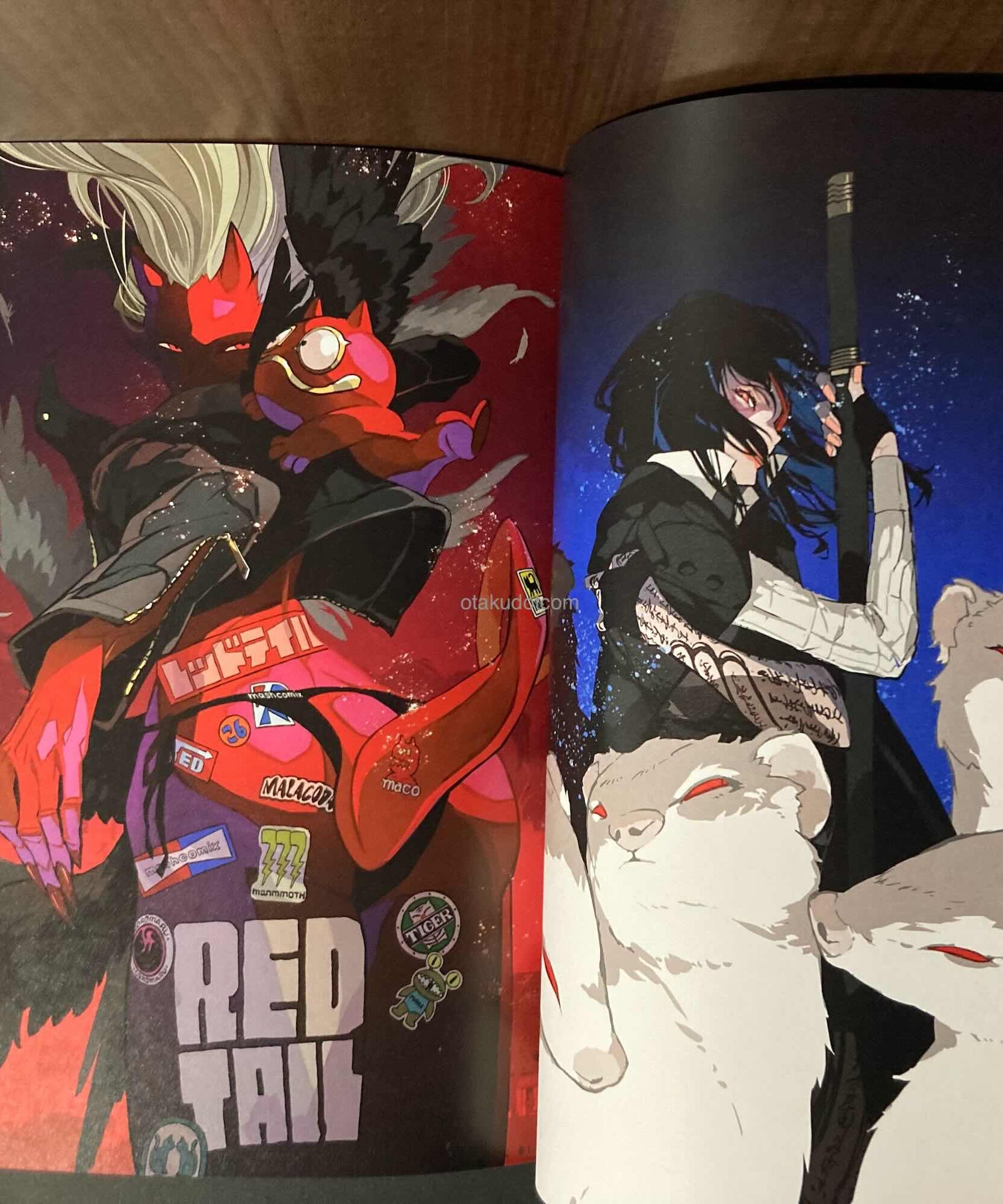 Teru Illustration Works: Redtail