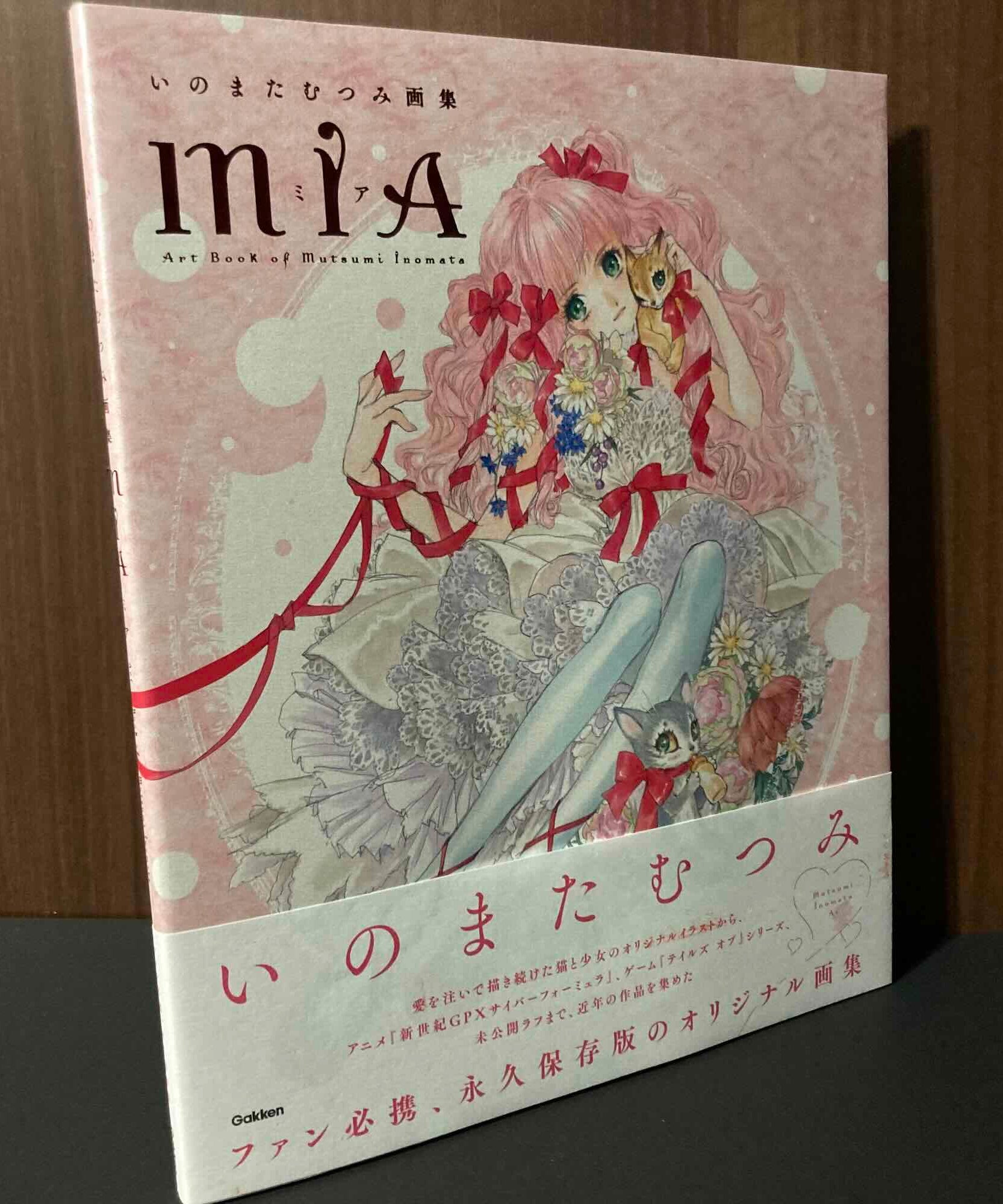 Mutsumi Inomata Artworks MIA