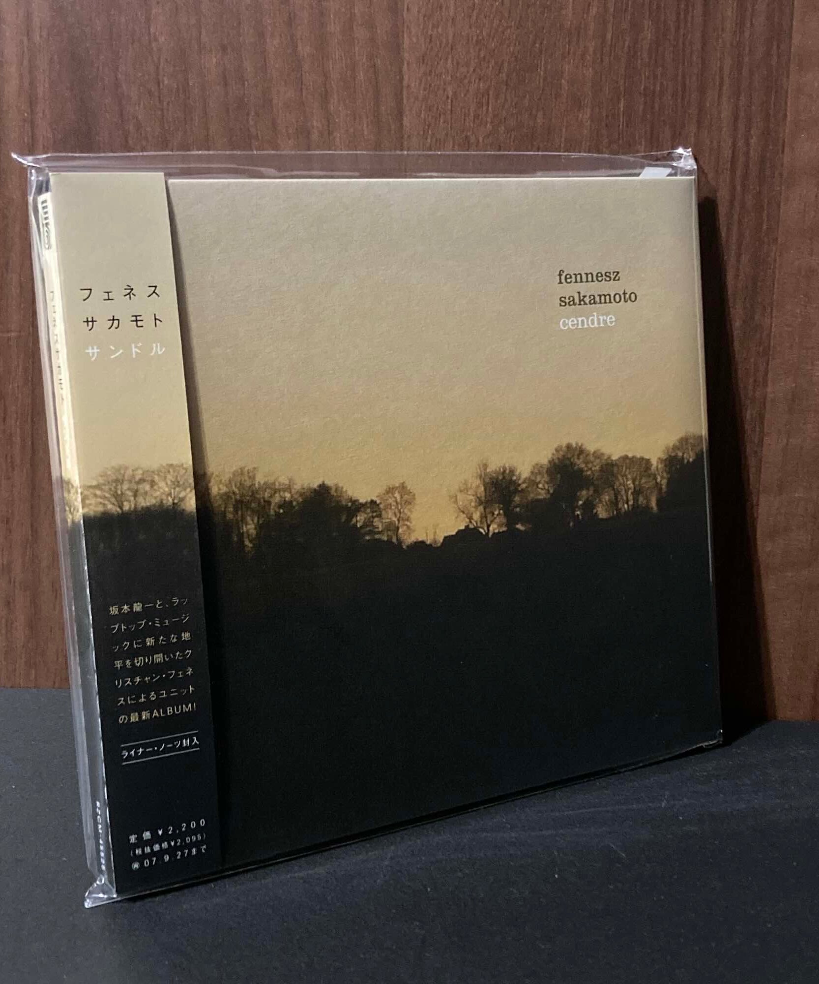 Ryuichi Sakamoto - fennesz+sakamoto / cendre