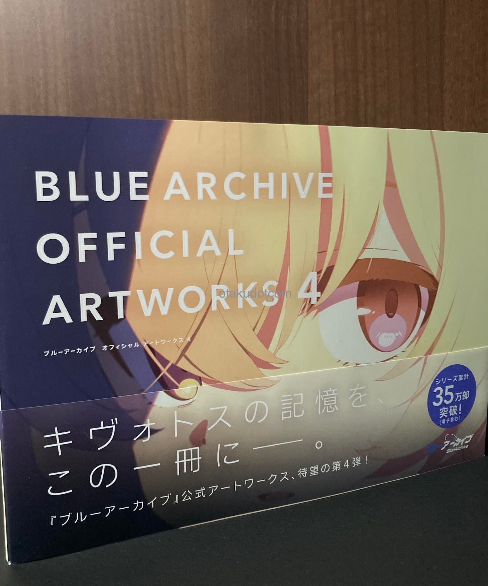 Blue Archive Official Artworks 4