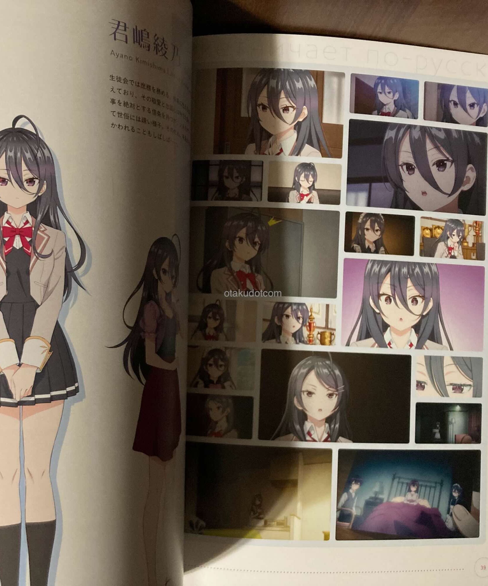 Alya Sometimes Hides Her Feelings in Russian Anime Guide