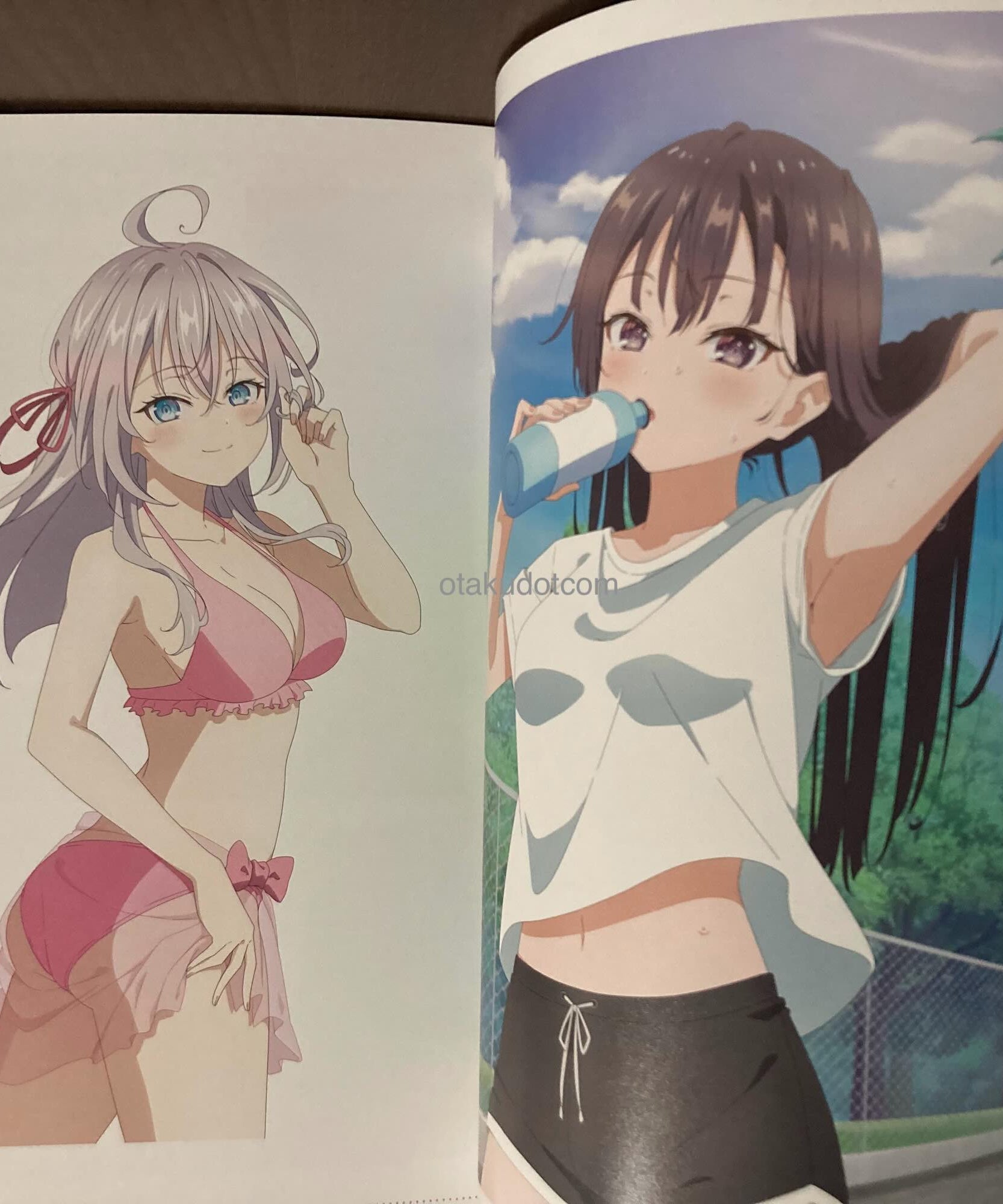 Alya Sometimes Hides Her Feelings in Russian Anime Guide