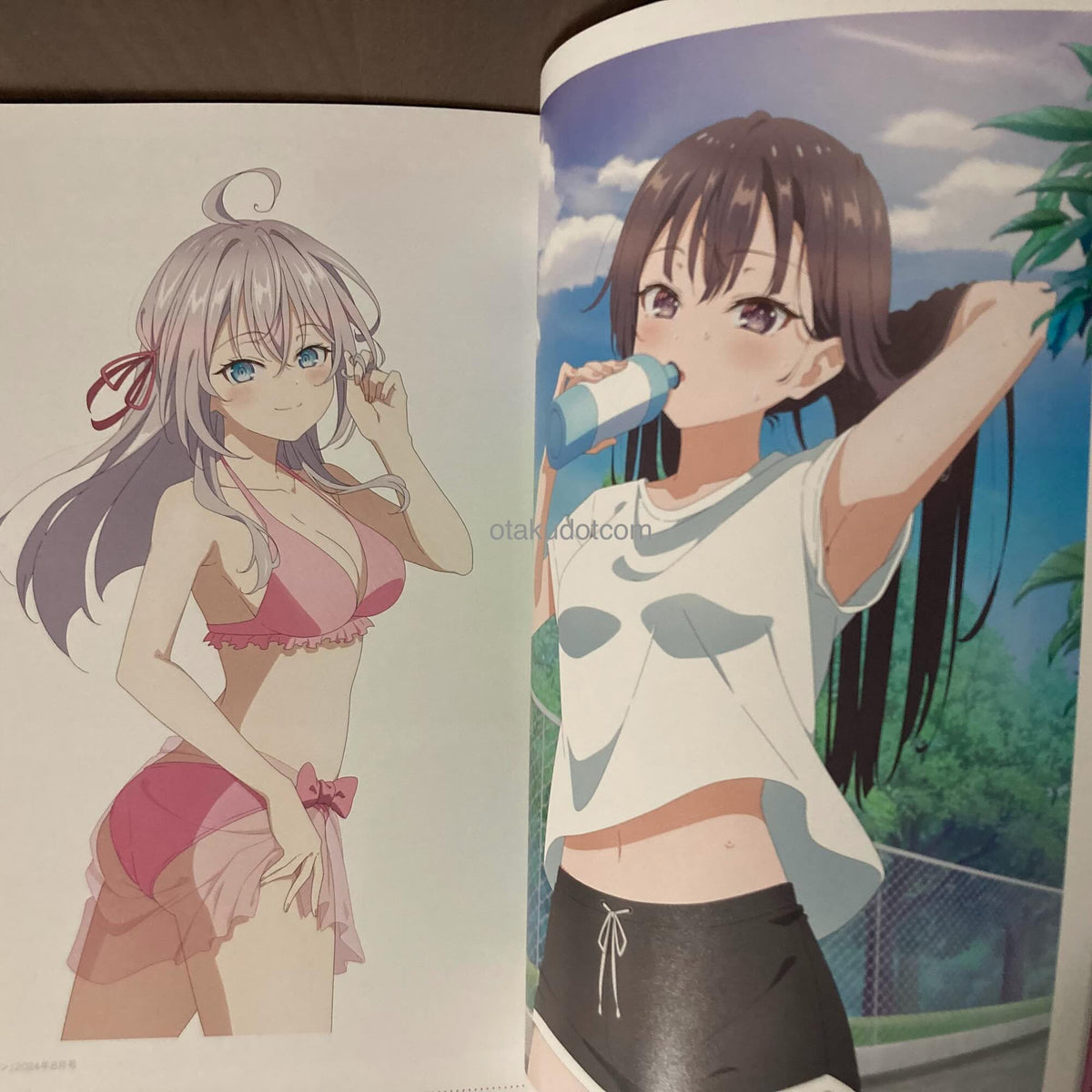Alya Sometimes Hides Her Feelings in Russian Anime Guide