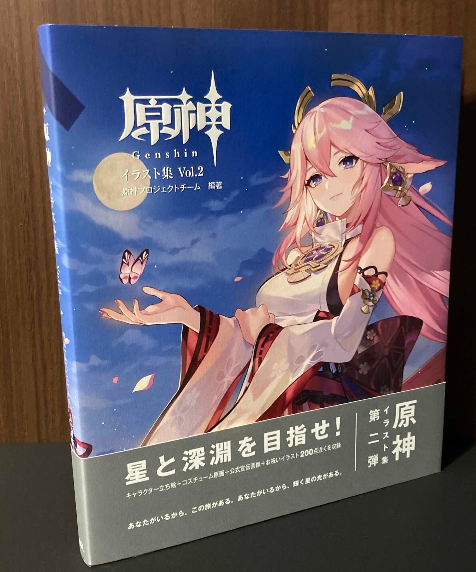 Genshin Illustration Collection Vol. 2