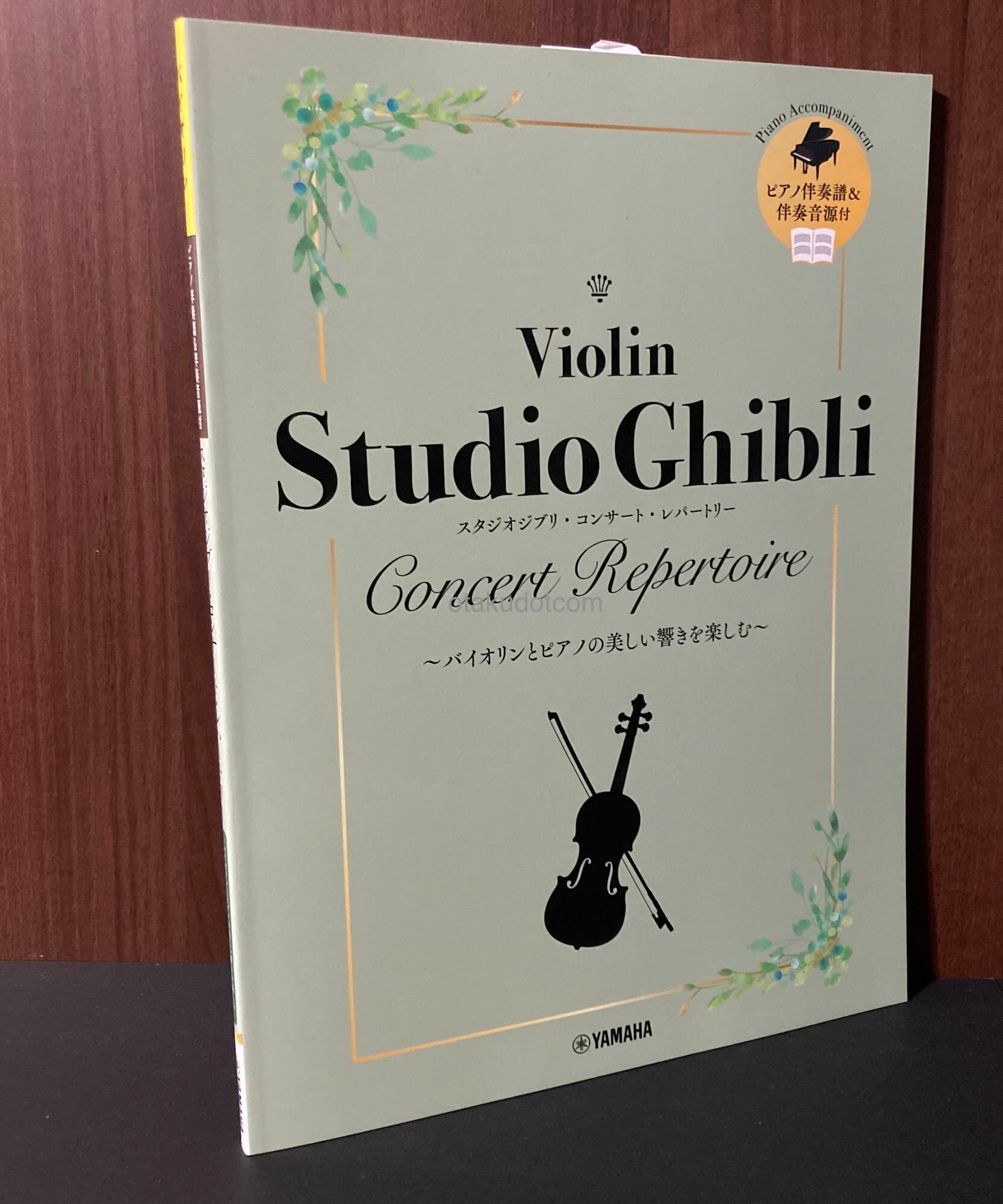 Studio Ghibli Violin Concert Repertoire