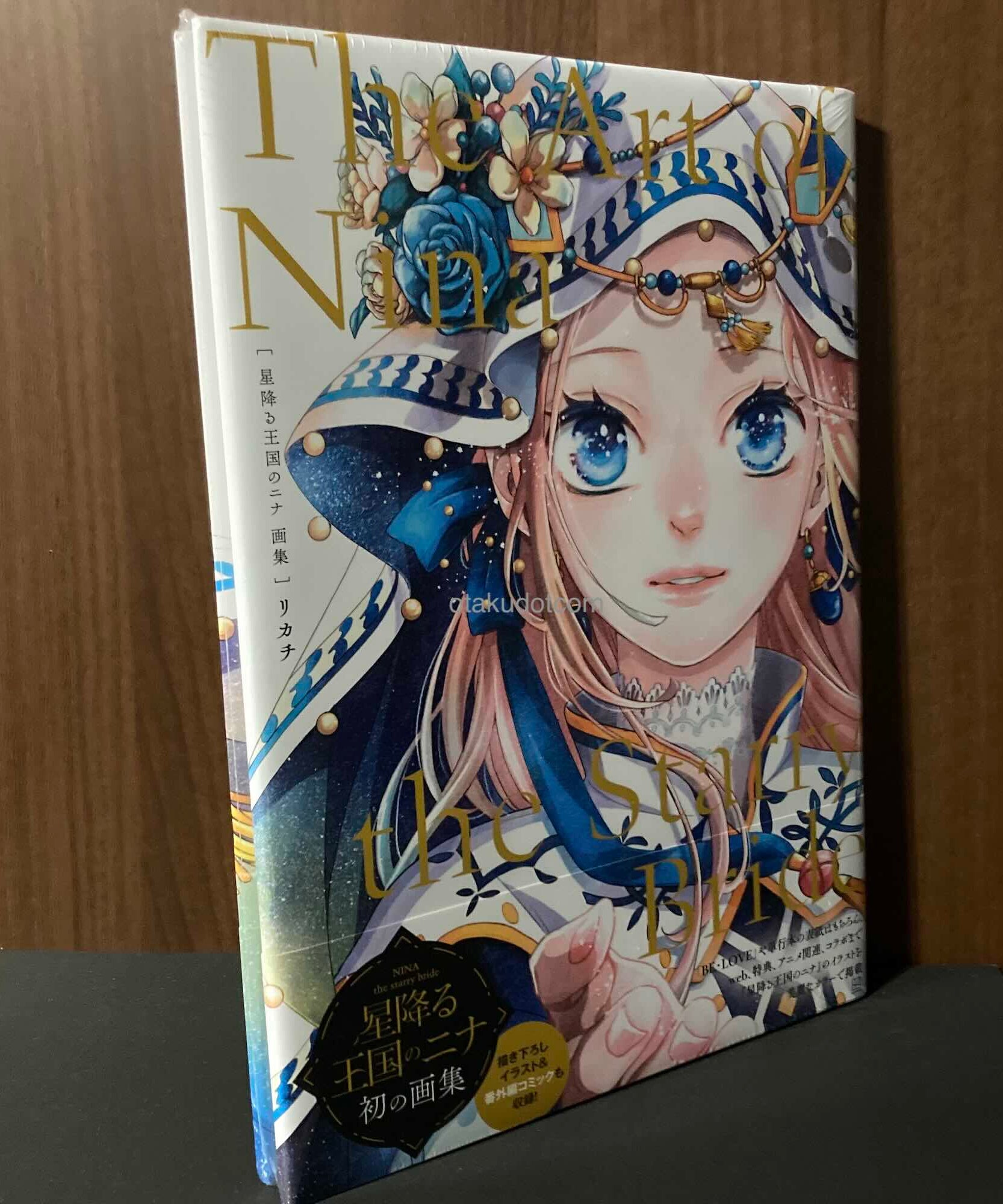 The Art of Nina the Starry Bride
